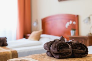 Standaard eenpersoonskamer | Woonkamer | Een televisie