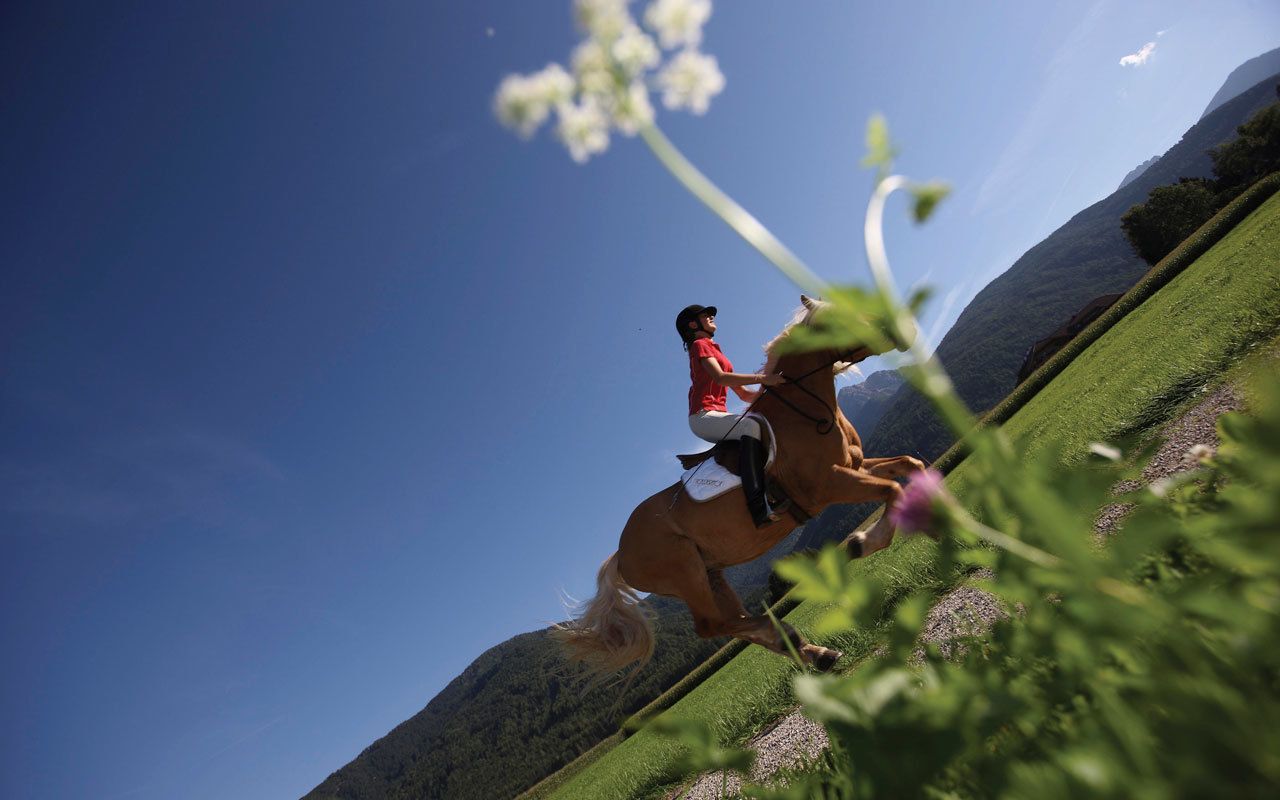 Een persoon die een paard berijdt op een begroeiing met een heldere lucht.