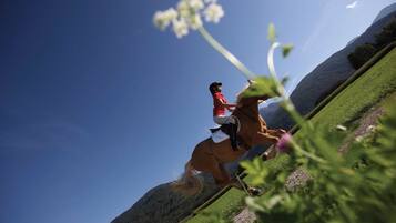 Een persoon die een paard berijdt op een begroeiing met een heldere lucht.
