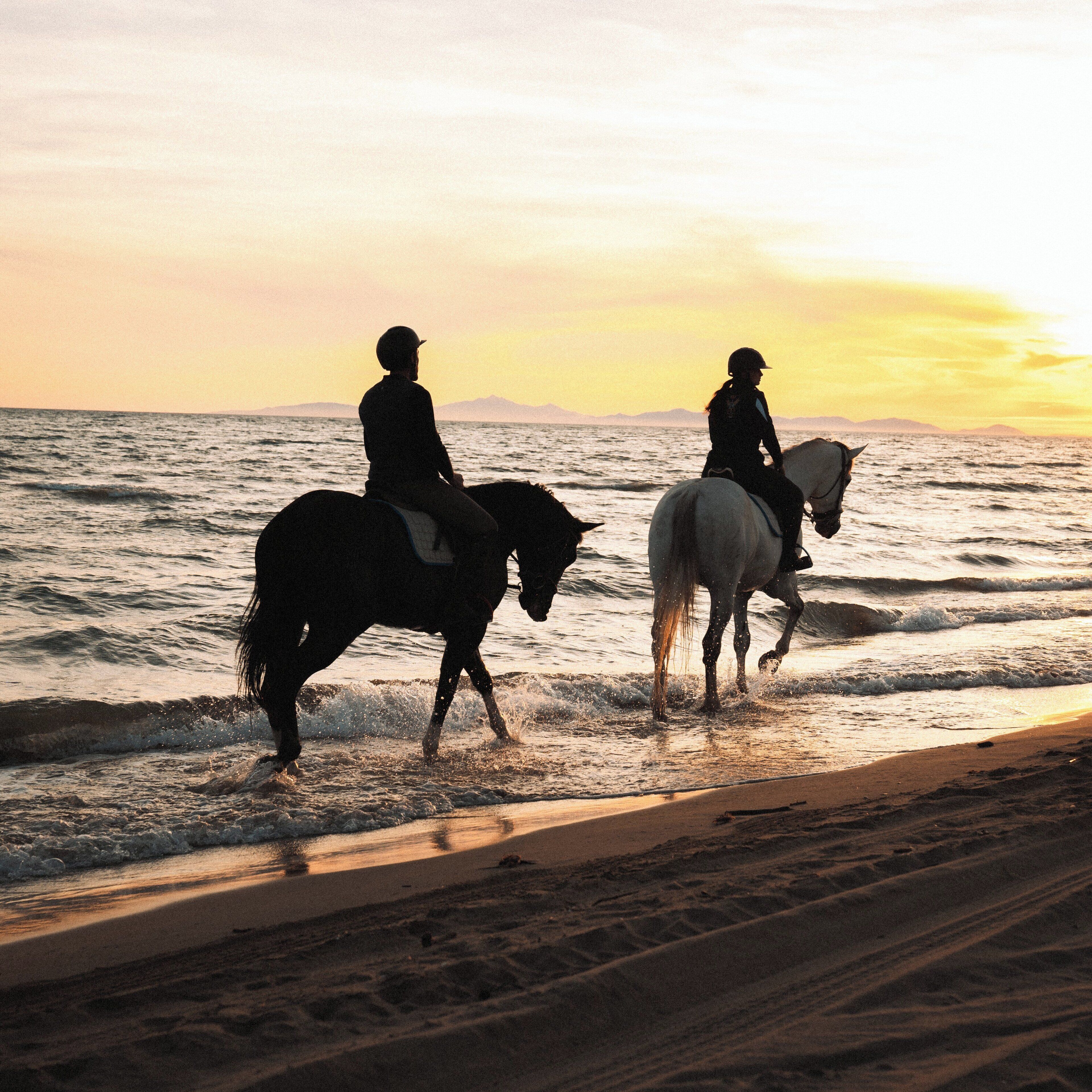 Photo - L'Andana Tenuta La Badiola