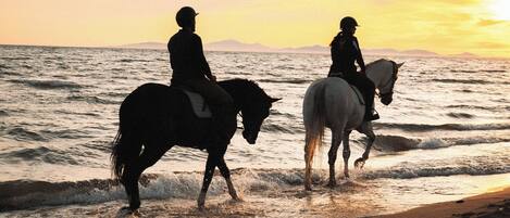 Two people riding horses along a beach at sunset.