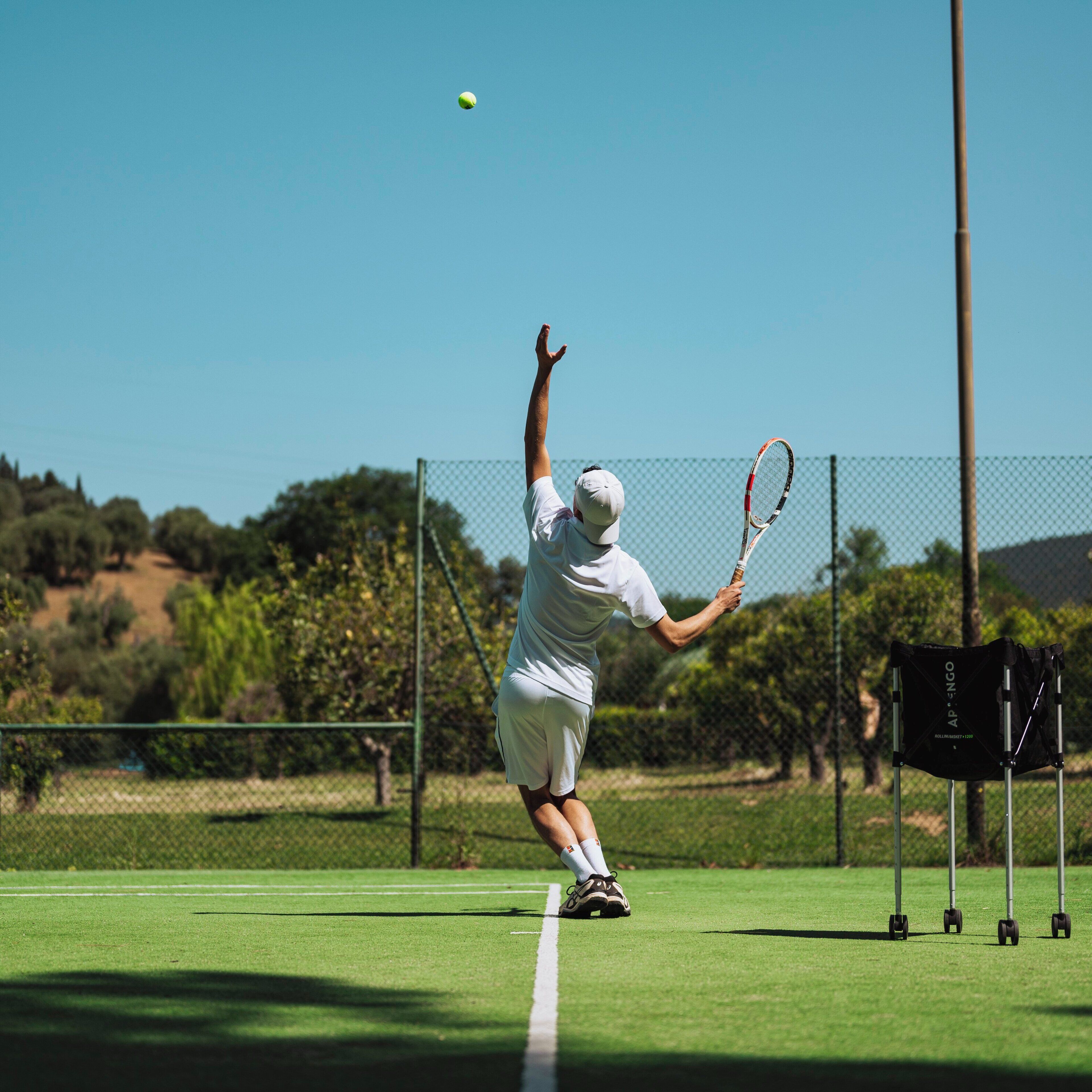 Un joueur de tennis en plein mouvement sur un court en gazon, avec une clôture et des arbres en arrière-plan.