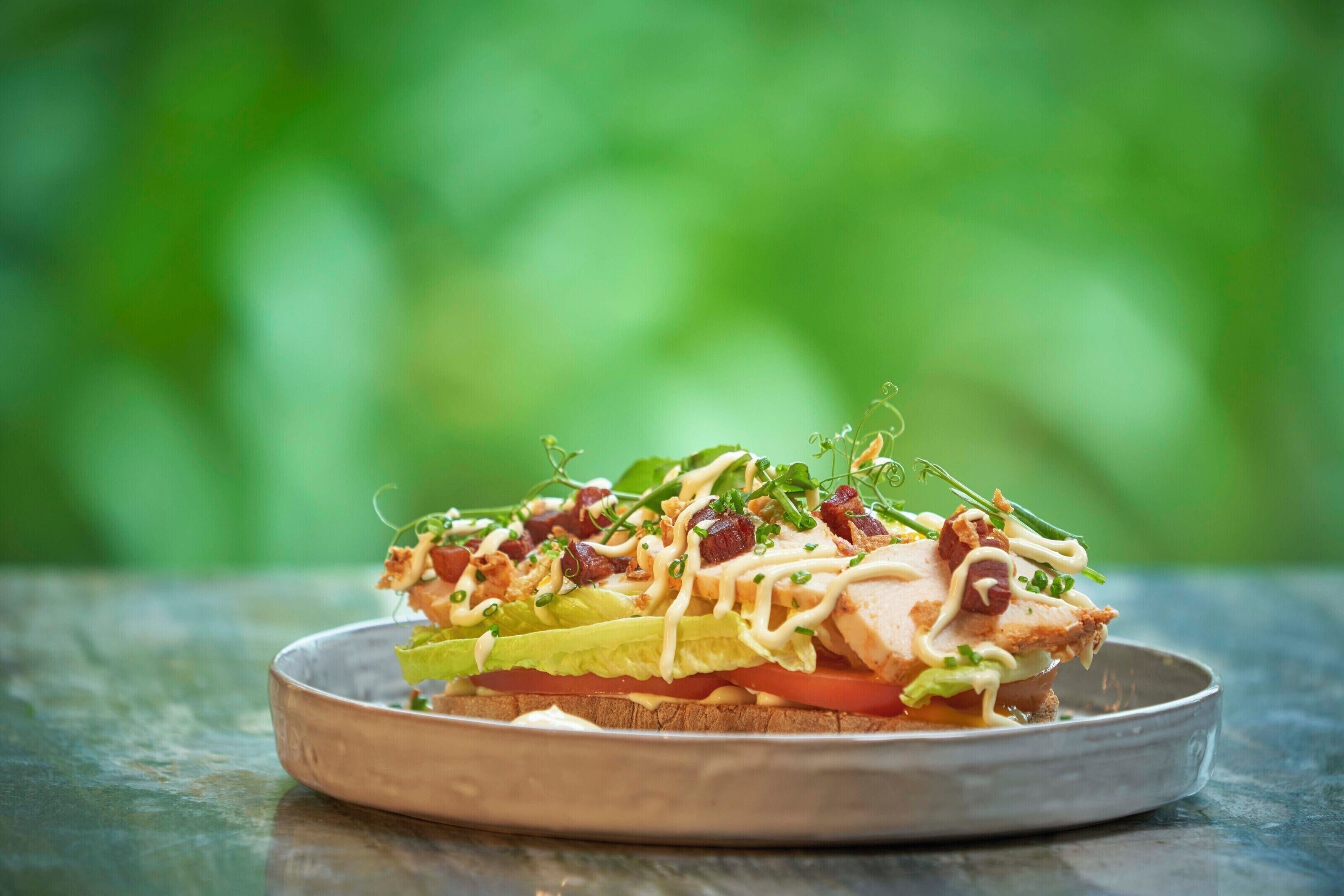 A sandwich on a plate with a blurred green background.