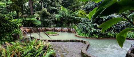 Indoor pool, outdoor pool, pool loungers