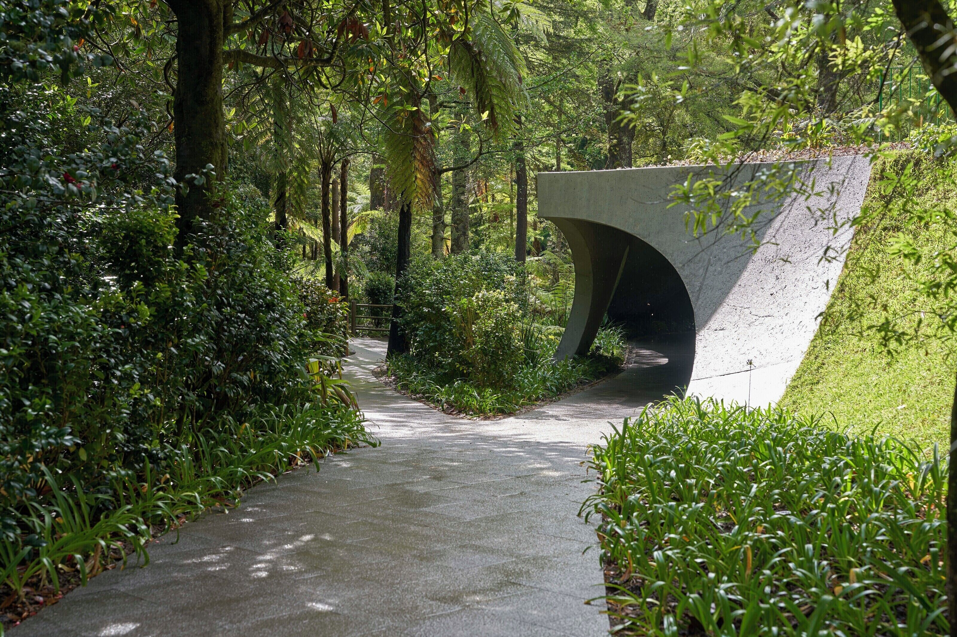 A concrete bridge over a pathway surrounded by lush greenery.