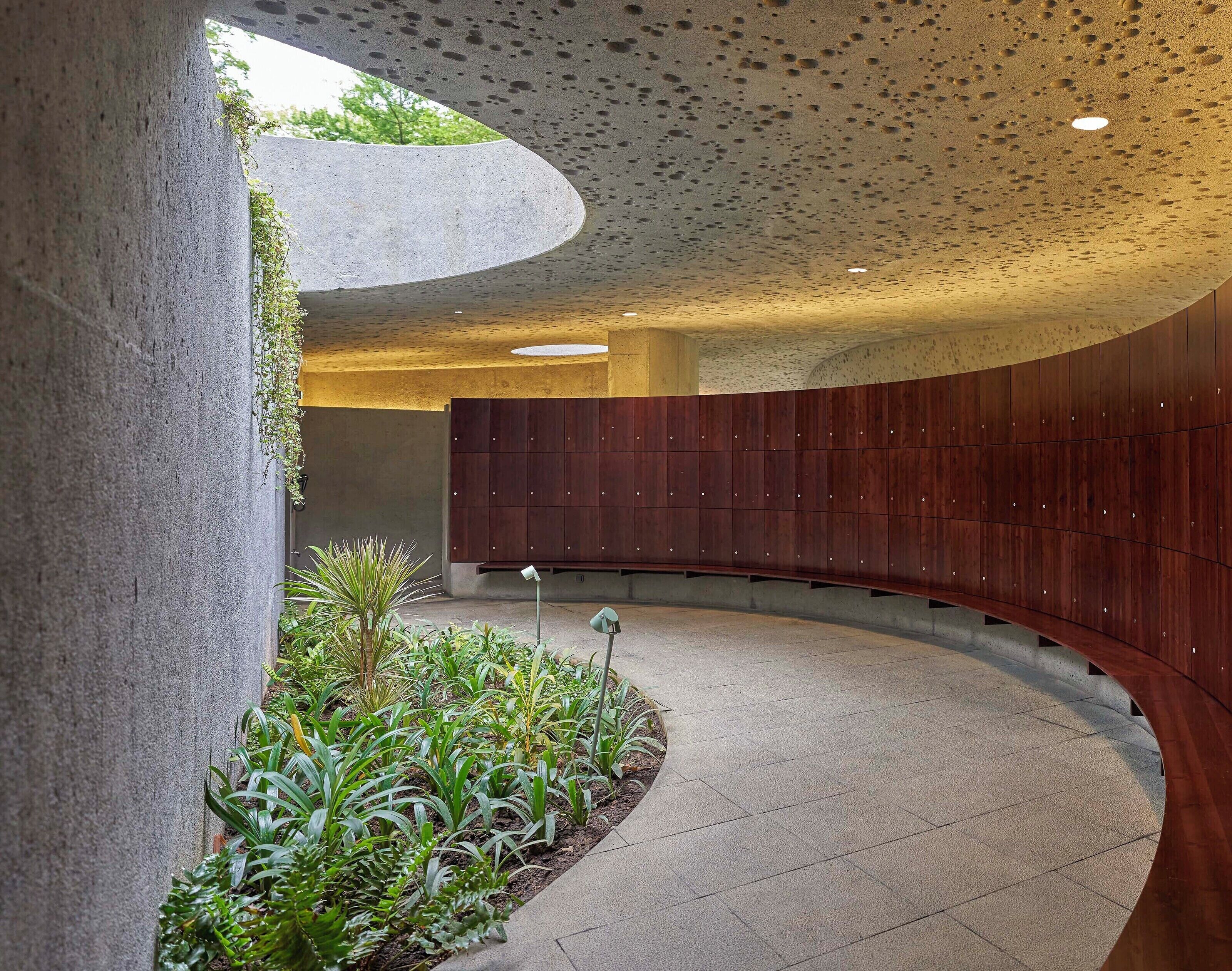 A curved corridor with a concrete floor, a wooden wall with small holes, and a garden area with various plants.