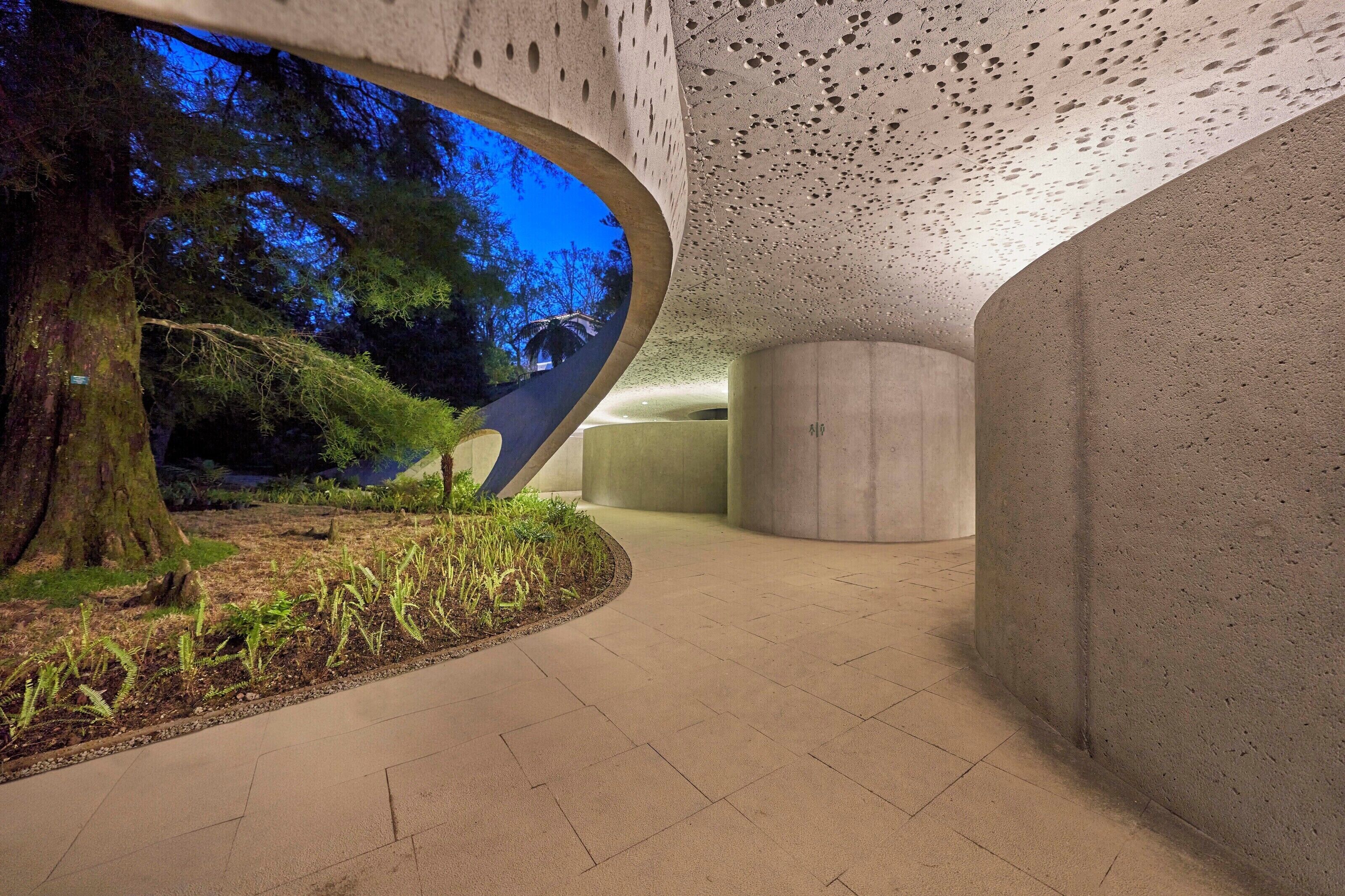 An interior space with a curved ceiling, concrete walls, and a view of trees outside.