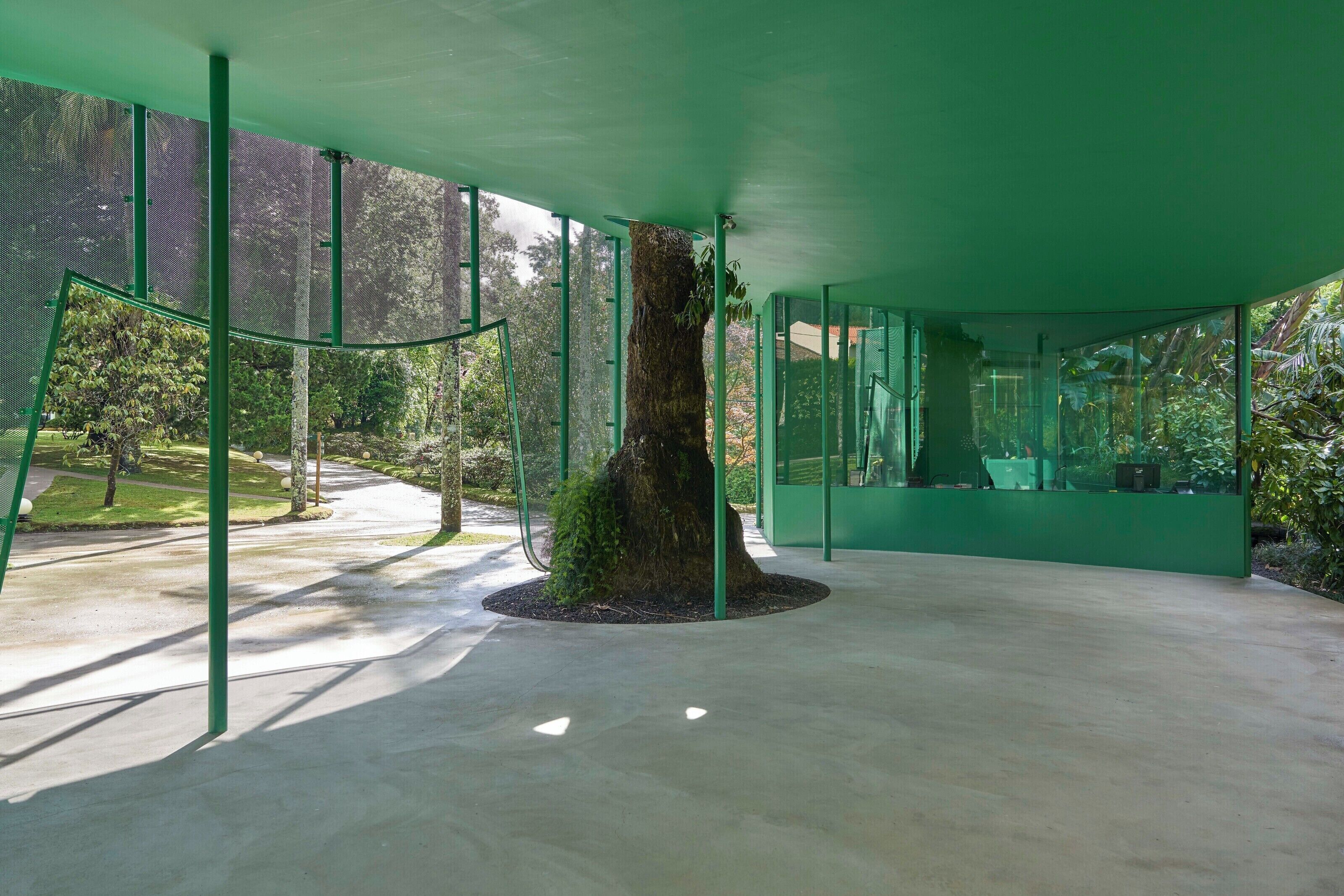 A modern building with a central tree, glass walls, and a concrete floor.