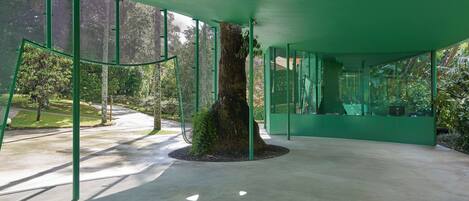 A modern building with a central tree, glass walls, and a concrete floor.