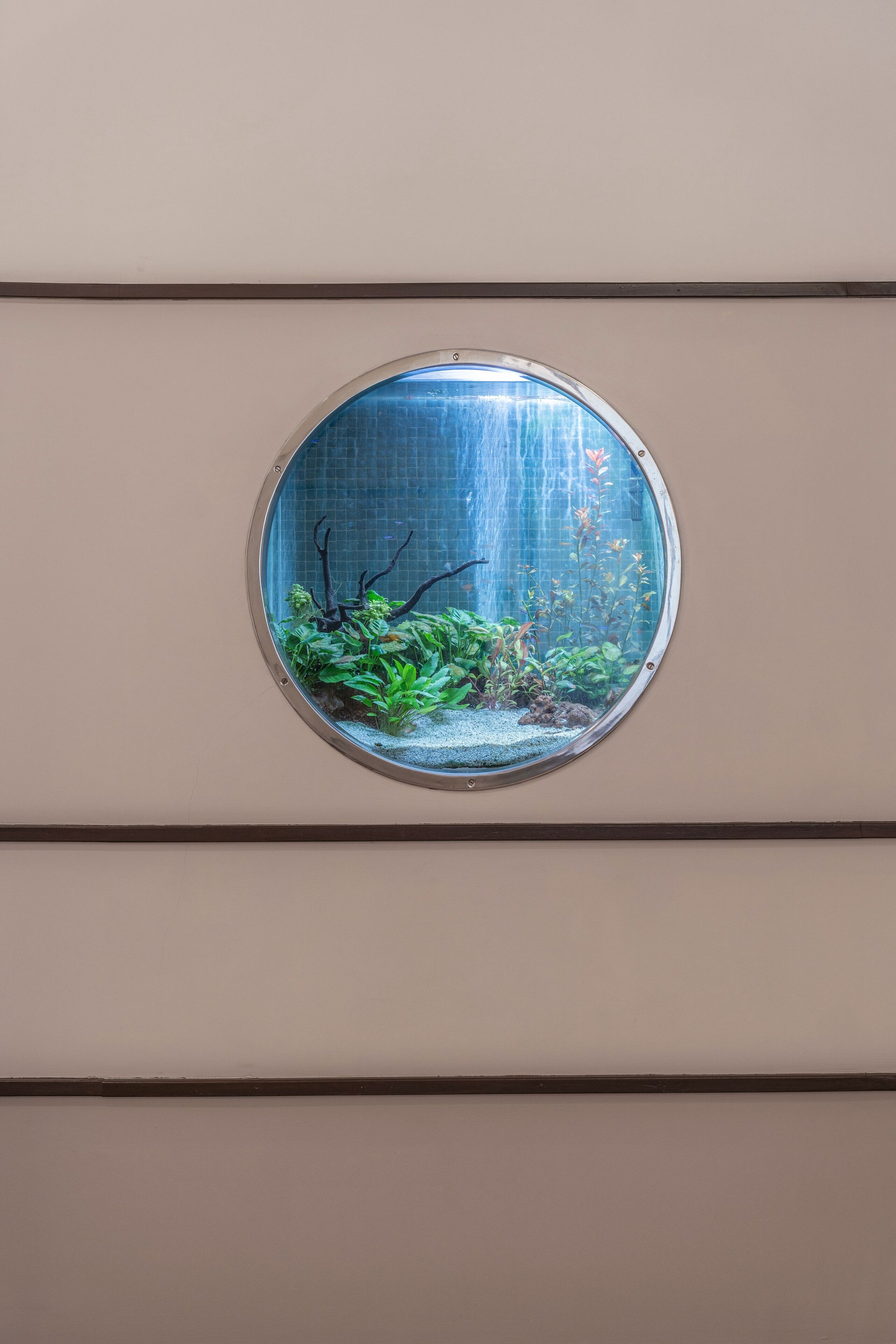 A round window with a view of an indoor garden.