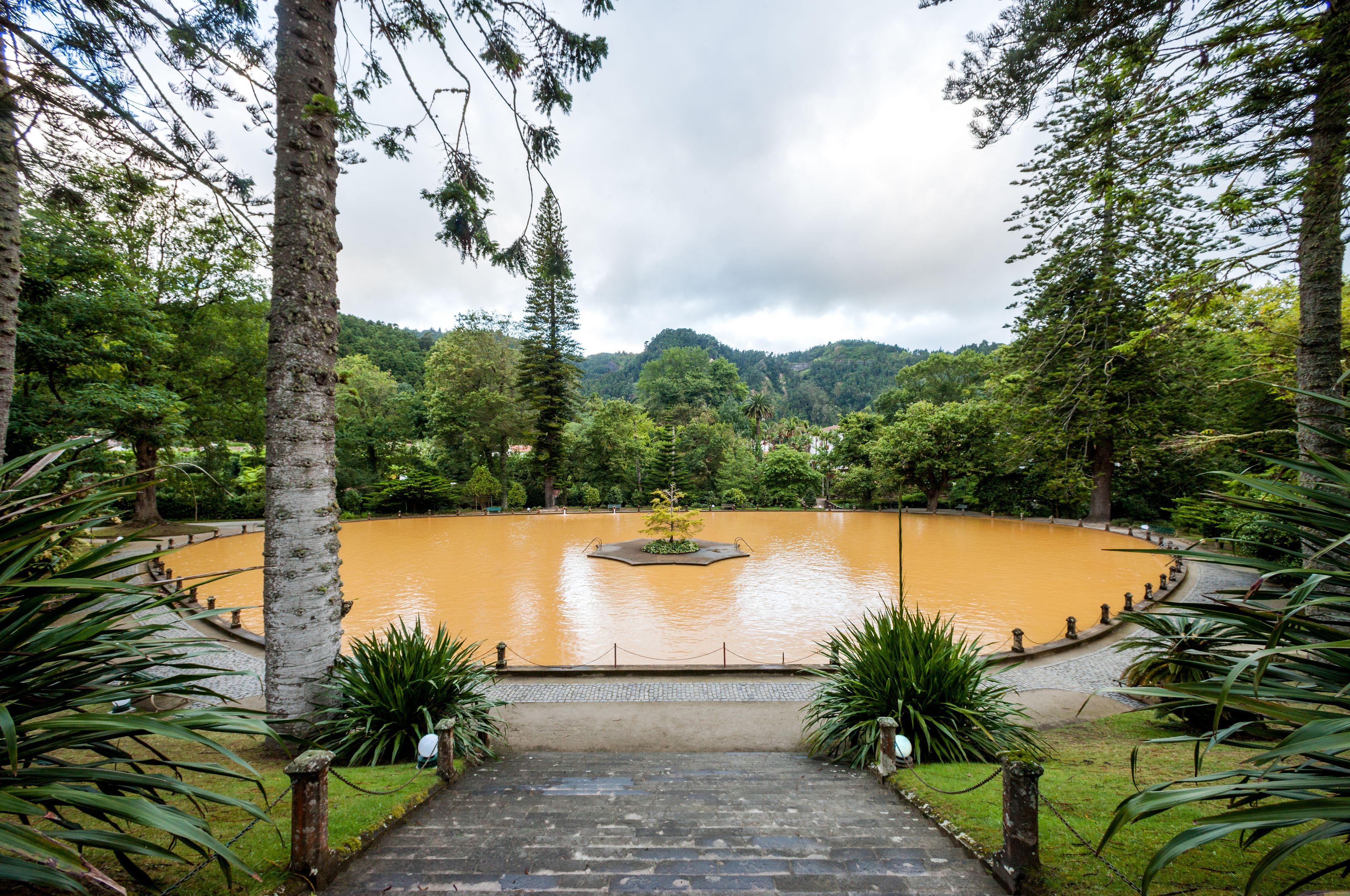 A stone staircase leading to a pond surrounded by trees.