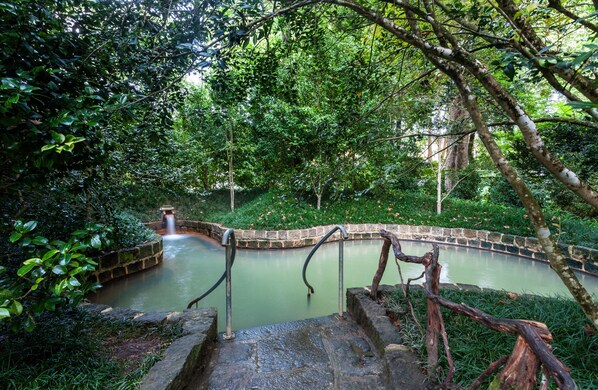 Uma trilha de pedra leva a uma pequena cascata em uma área florestal exuberante e verdejante.