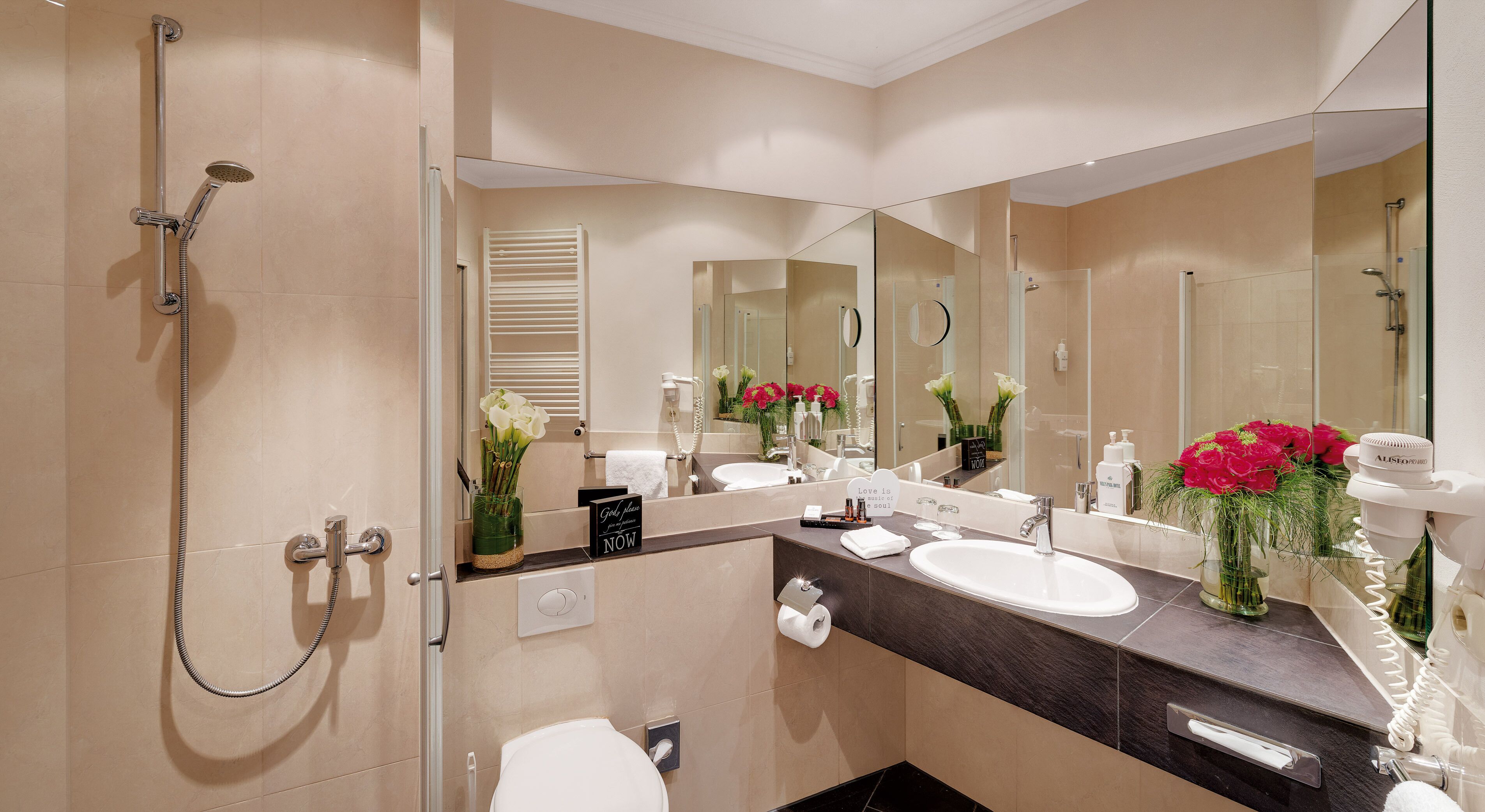 shower, hair dryer, bathrobes, towels