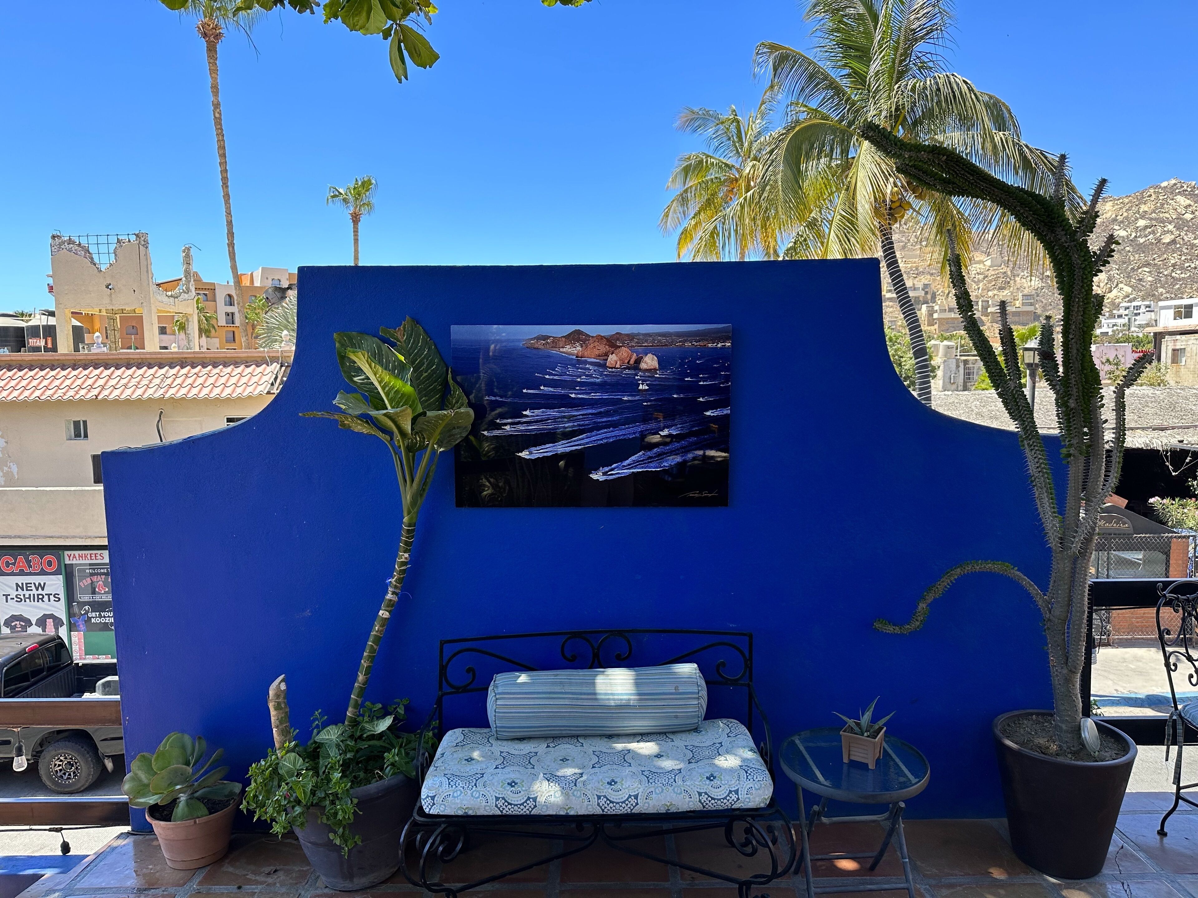 A blue wall with a framed photograph of a coastal scene, a metal bench with a cushion, and potted plants.
