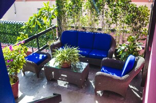 Un área de estar al aire libre con mobiliario de mimbre y un coj ín azul, rodeada de plantas en macetas y una mesa de vidrio.