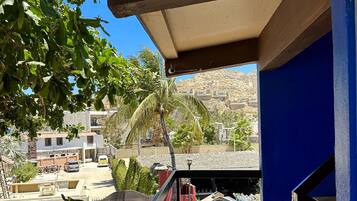 Un espace extérieur abrité offrant une vue sur un quartier résidentiel, un palmier et un escalier menant à un niveau inférieur.
