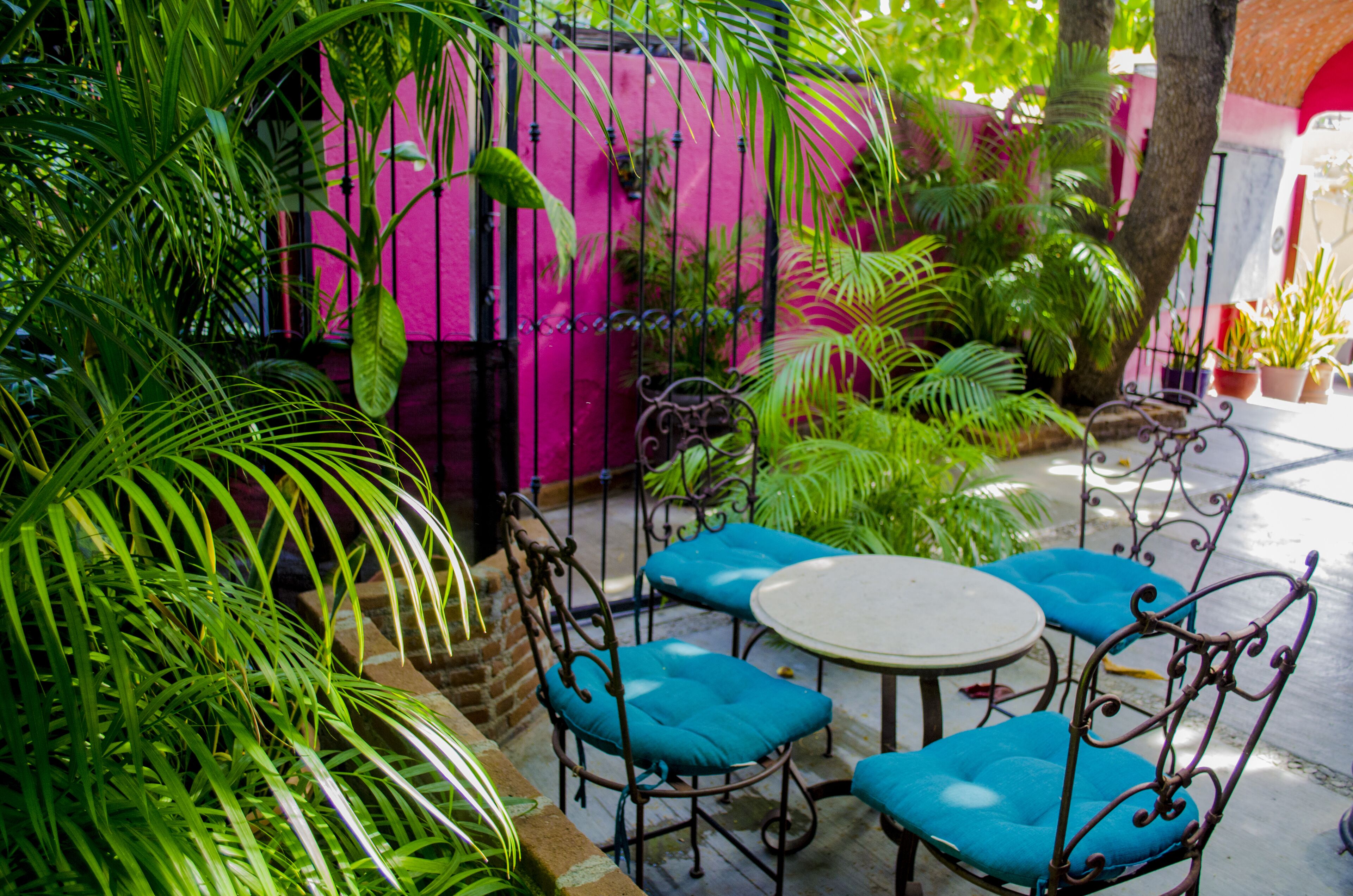 A patio with a round table and four blue cushioned chairs, surrounded by lush green plants and a pink wall.