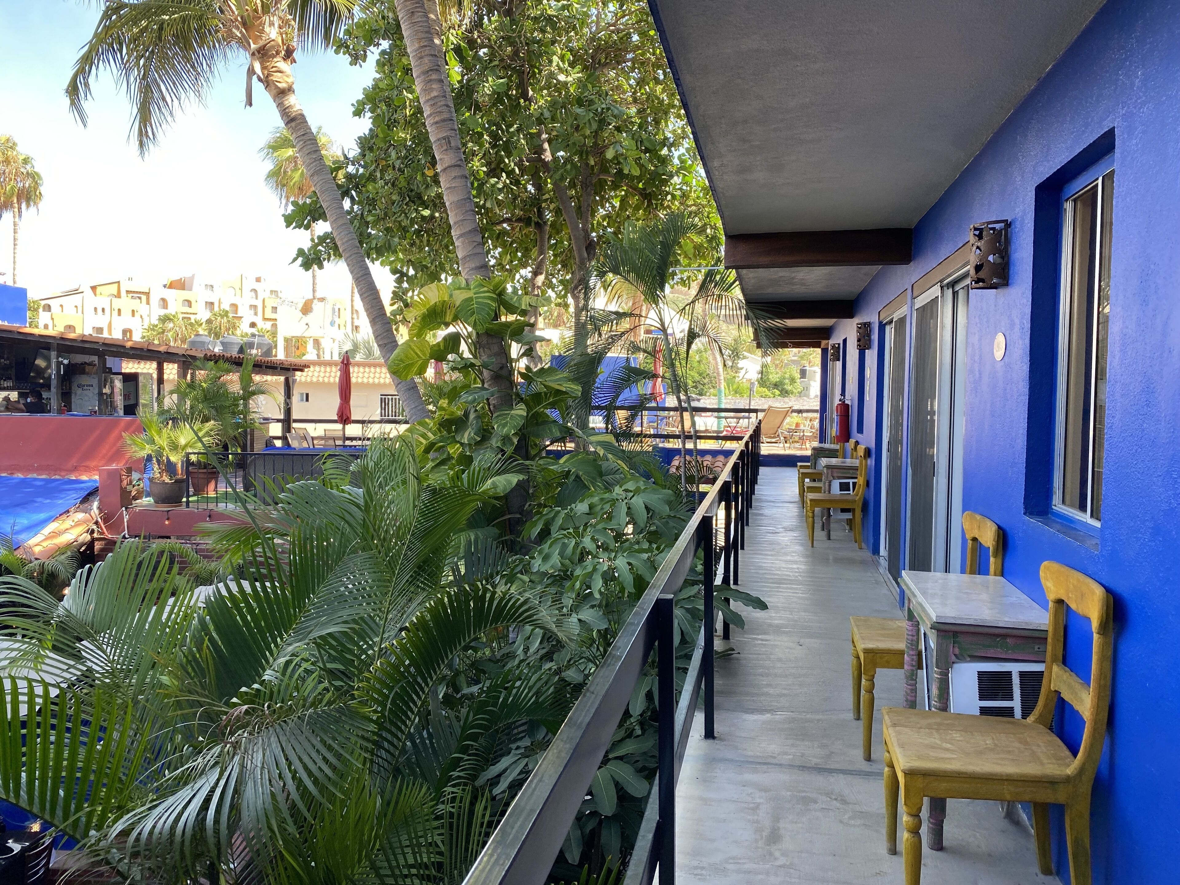 Un balcón con sillas de madera, un muro azul y plantas tropicales.