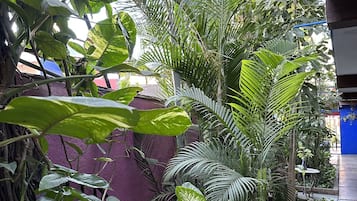 Suite clásica, 1 cama de matrimonio, cocina básica | Vistas al jardín