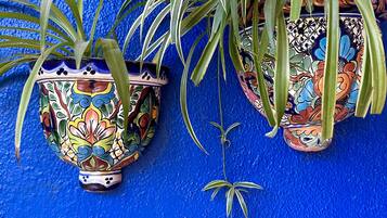 Two potted plants with colorful floral designs on a blue textured wall.