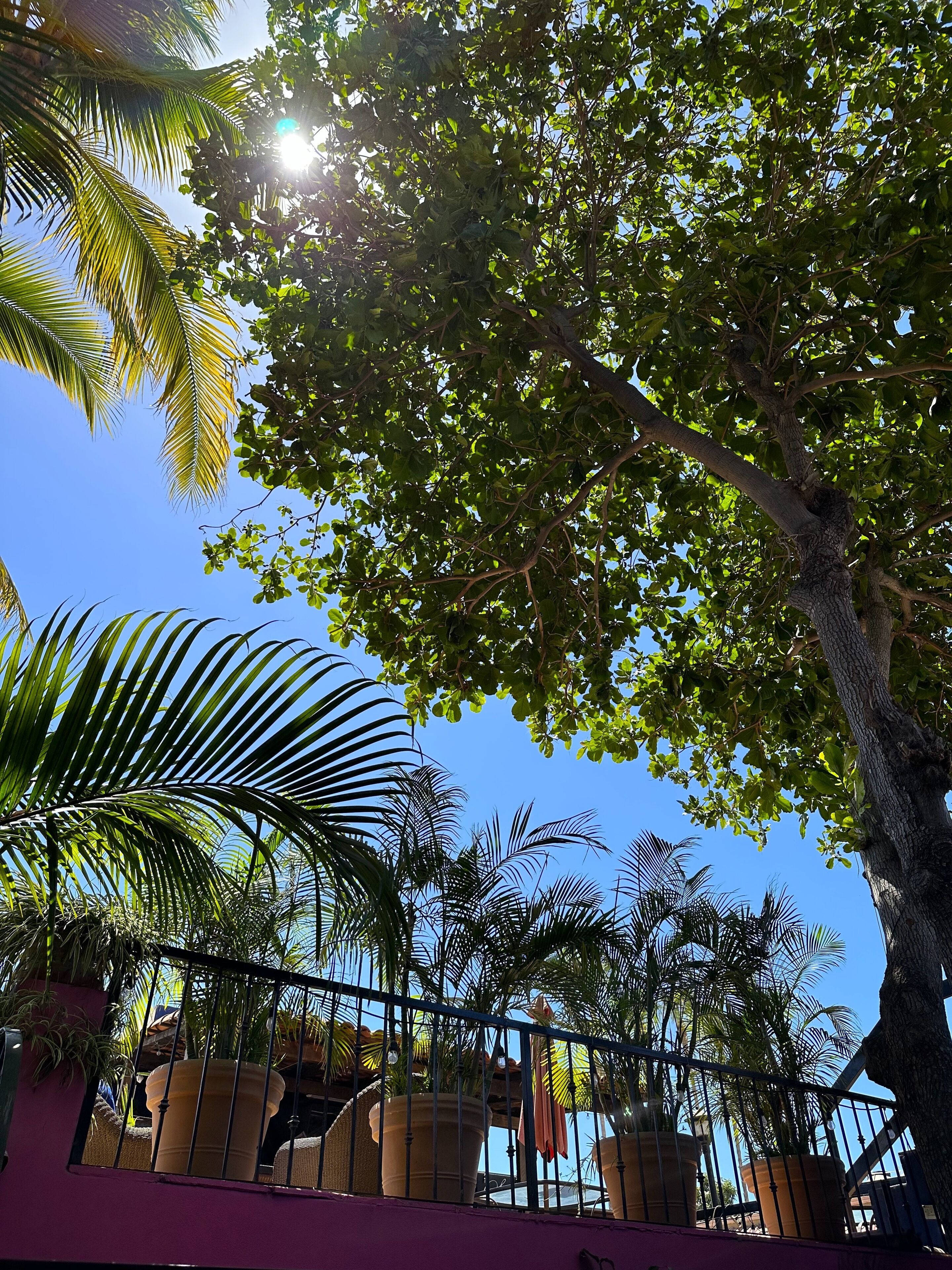 Foto - Siesta Suites Boutique Hotel