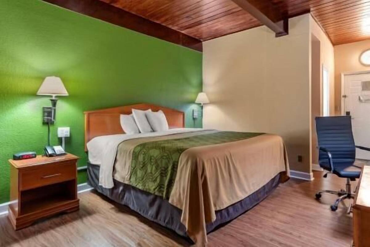 A hotel room with a bed, nightstand, chair, and a green wall.