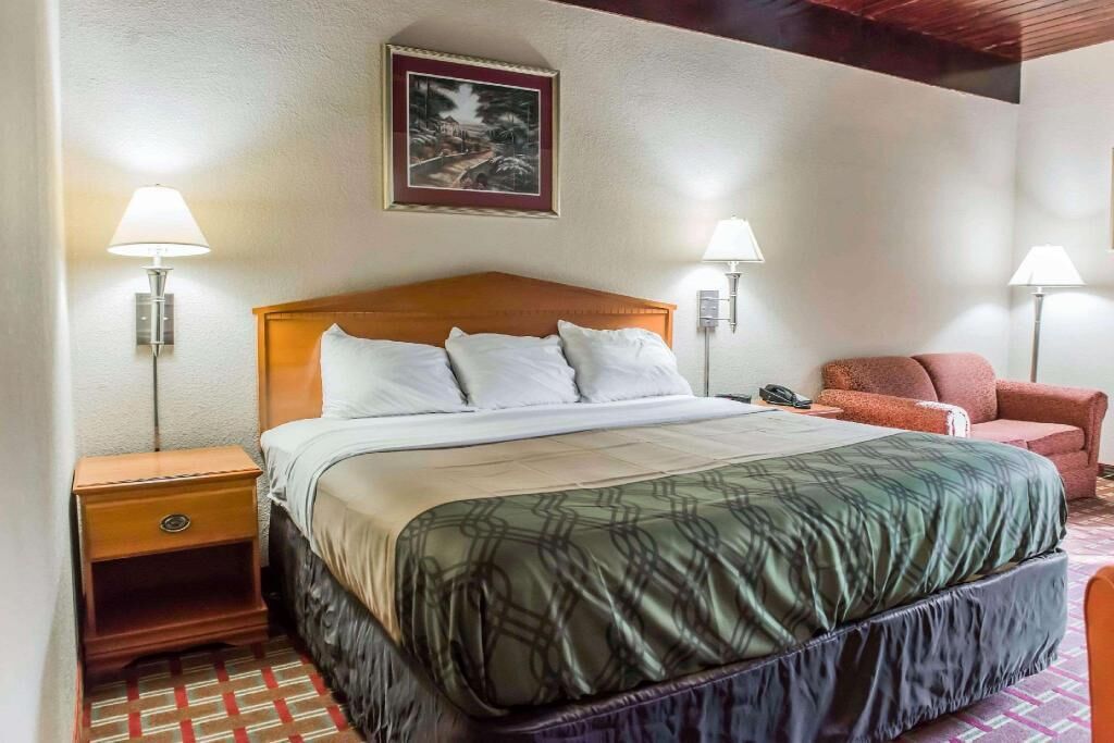 Escritorio, cortinas blackout, wifi gratis y ropa de cama 