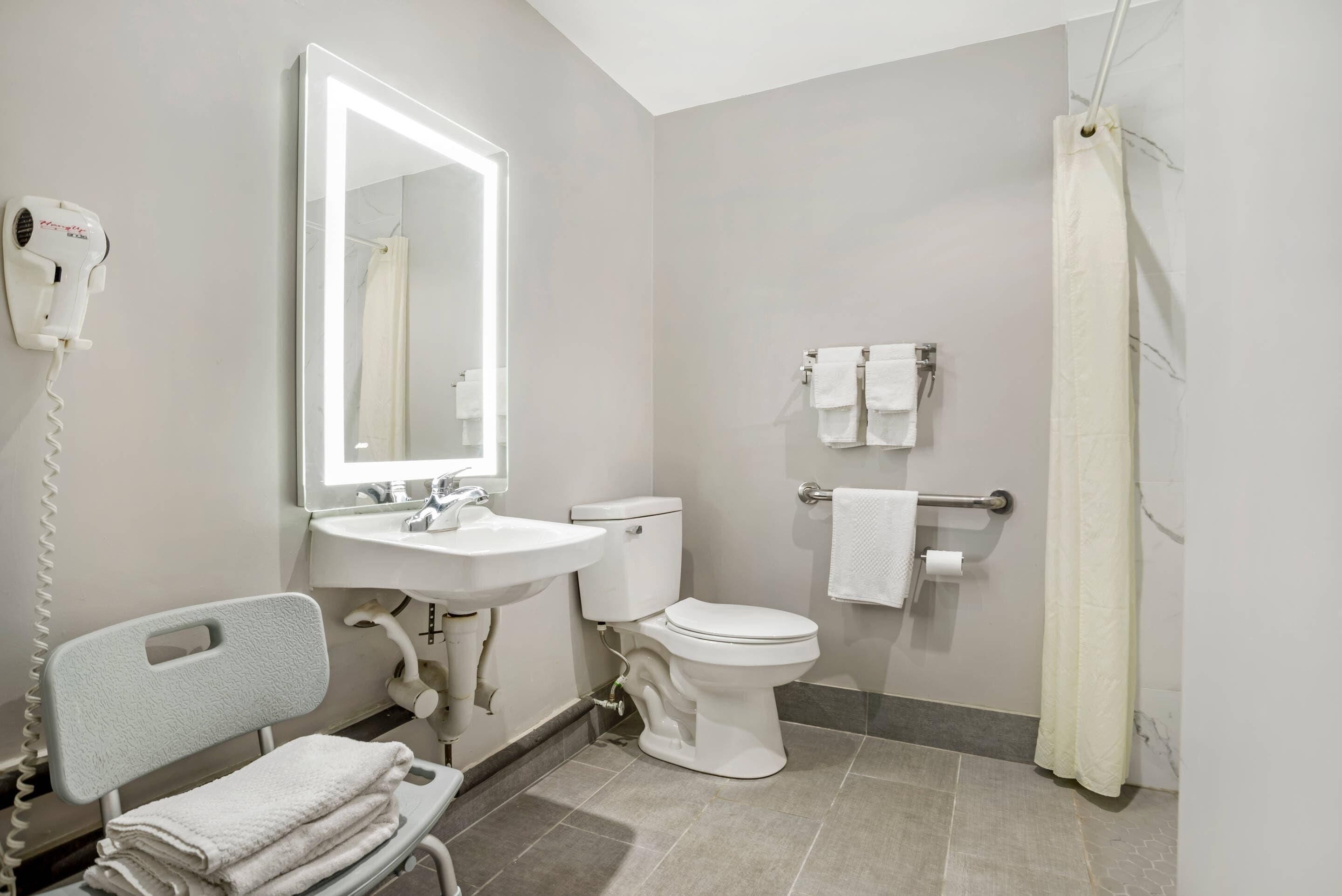 Room, 1 King Bed, Accessible, Non Smoking | Desk, blackout drapes, free WiFi, bed sheets