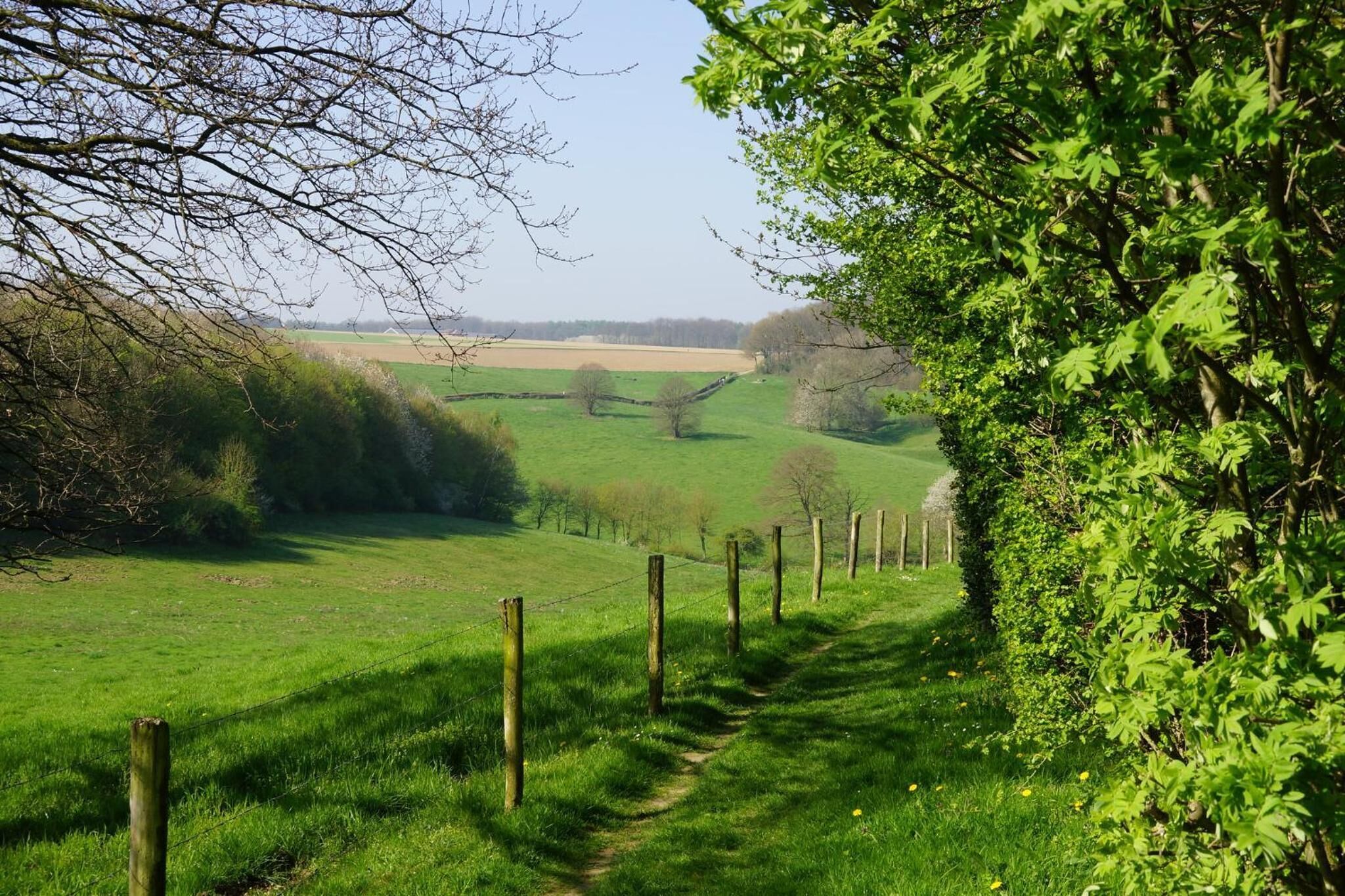 Foto - Hotel Atlanta