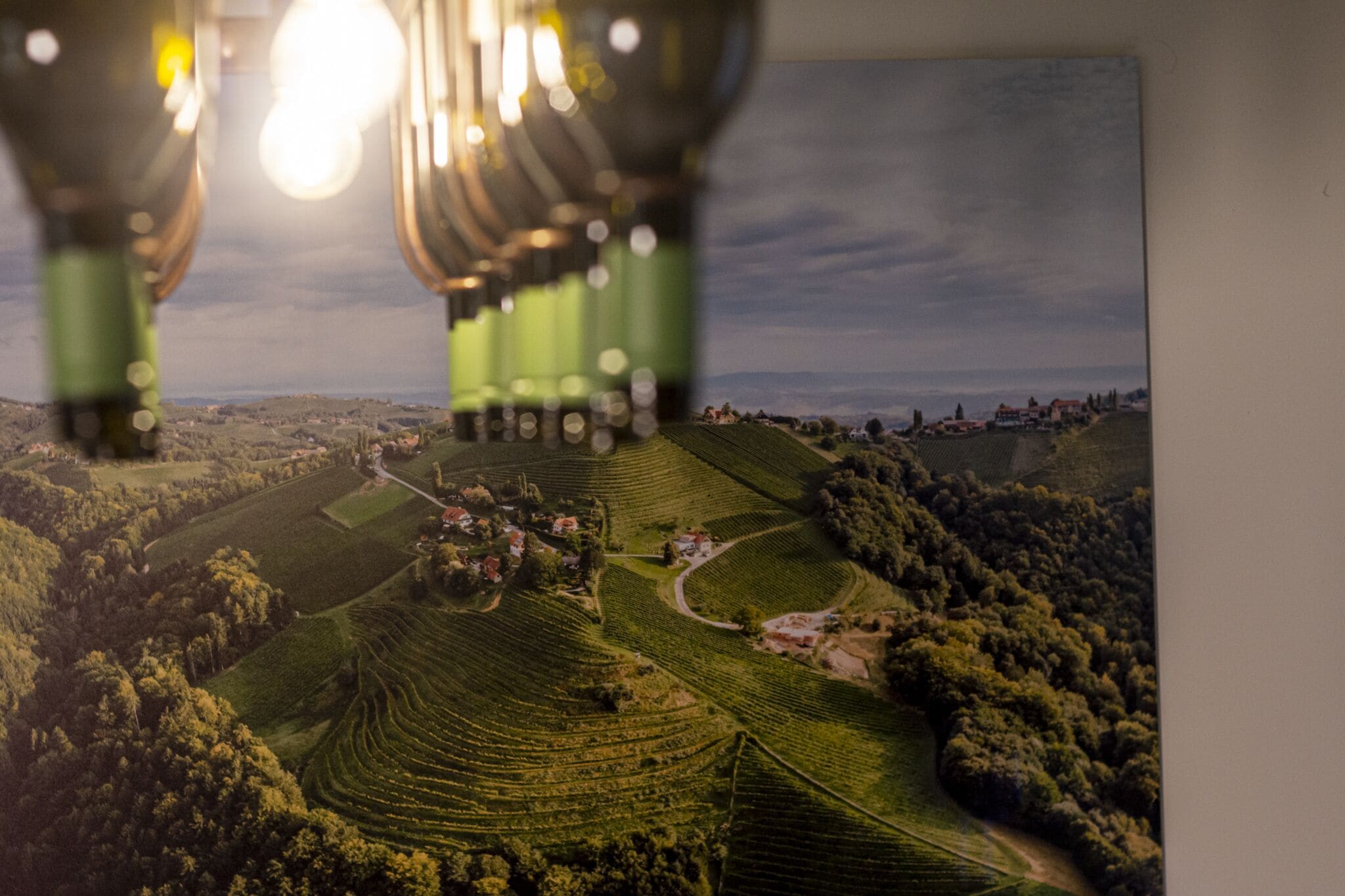 A landscape view of terraced vineyards with a small village in the valley.