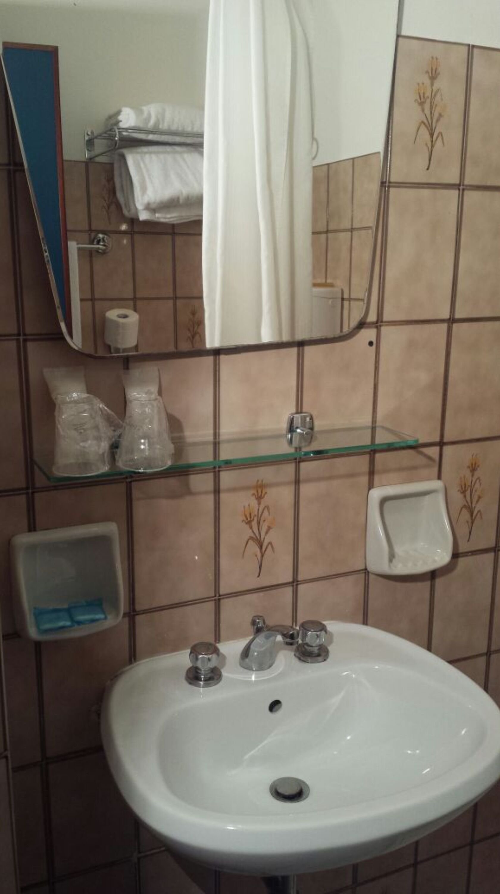 A bathroom with a white sink, a glass shelf, a mirror, and a towel rack.