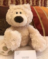 A plush white teddy bear sitting on a bed with a striped pillow and a cushion. A card next to the bear reads "My Name is Wellington, I am your room guard."