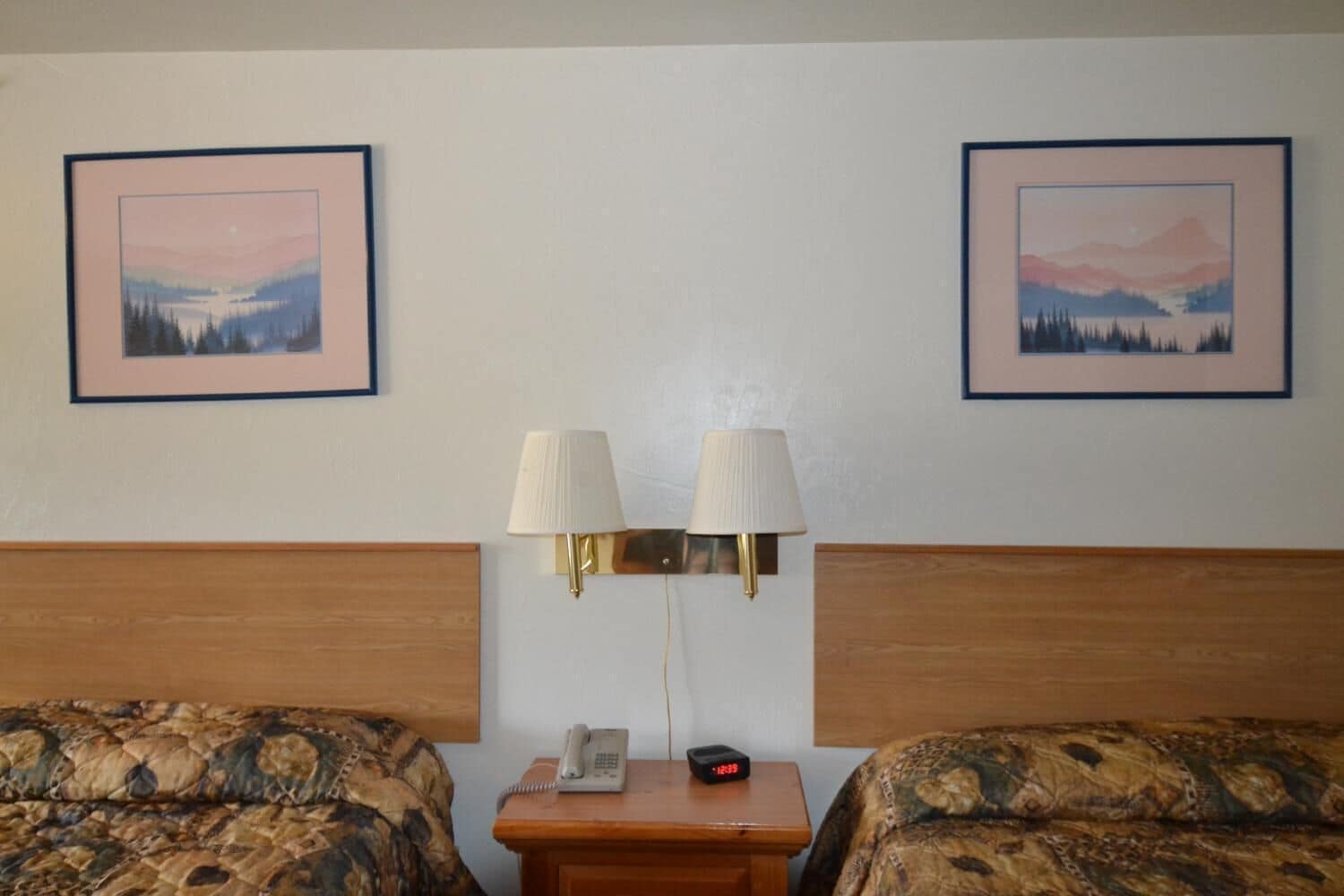 Foto - Dude & Roundup