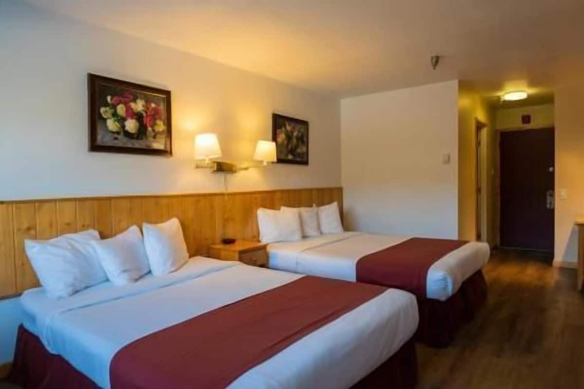Bureau, fer et planche Ă repasser, Wi-Fi gratuit, draps fournis