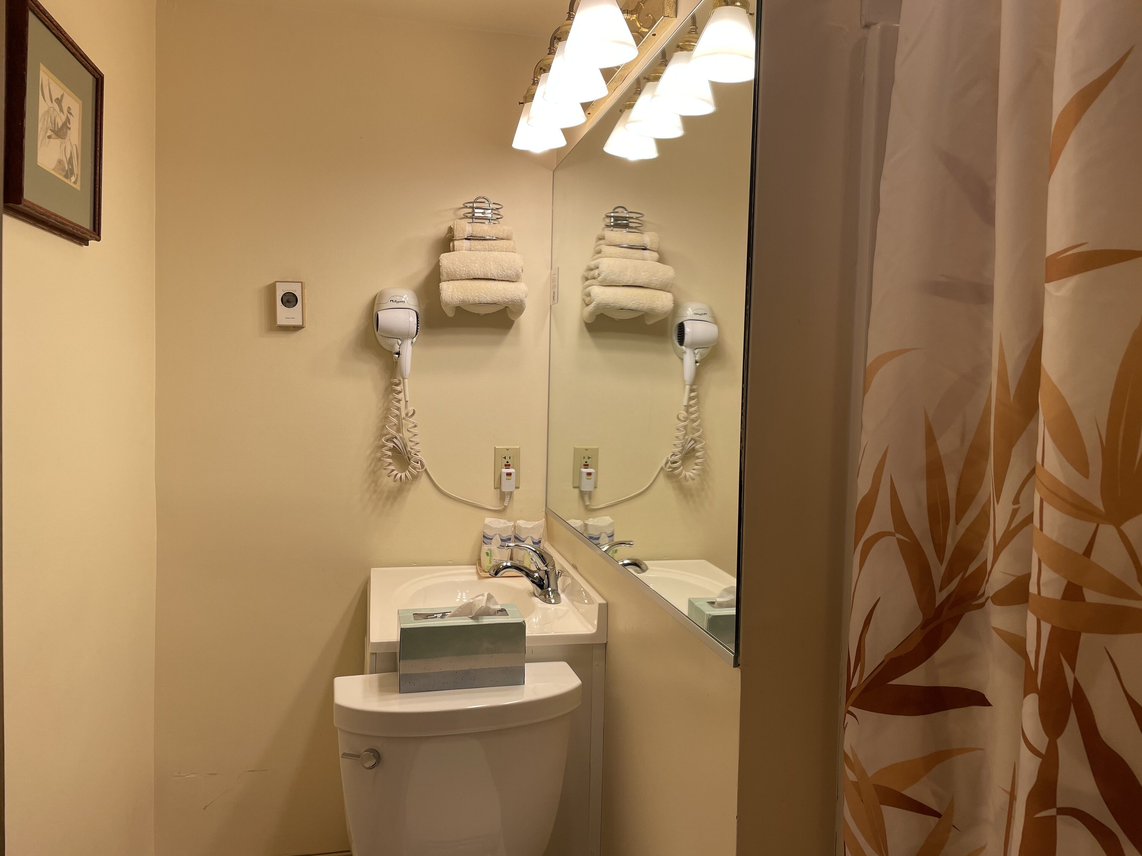 Foto - Oasis Guest House