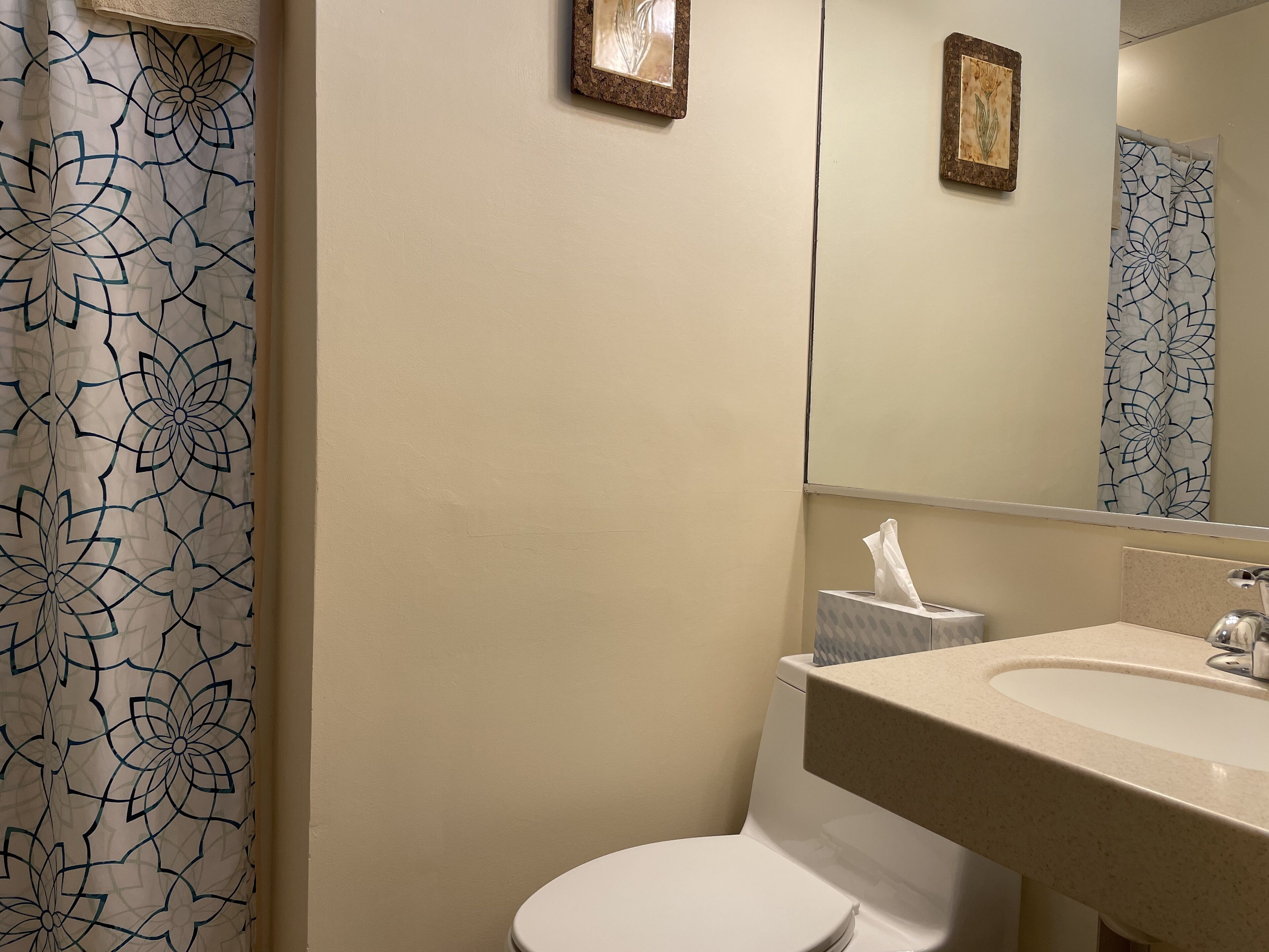 Foto - Oasis Guest House
