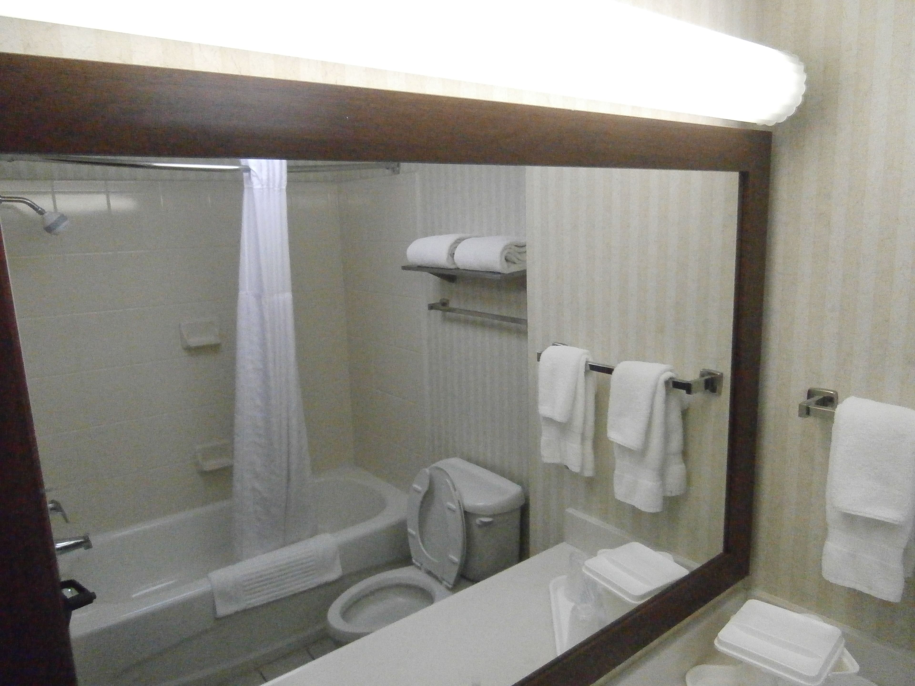 free toiletries, hair dryer, towels, soap