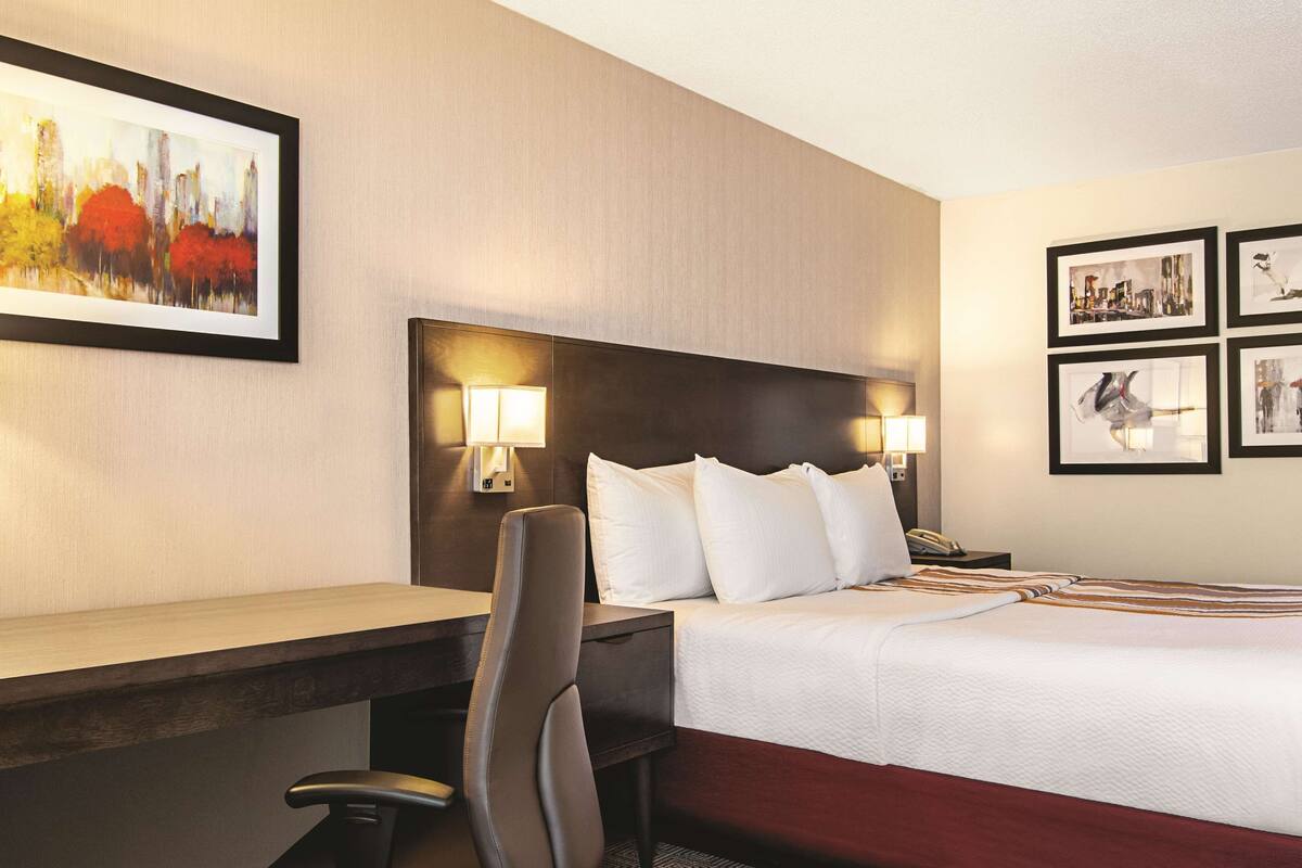 deluxe room, 1 king bed, non smoking, mountain view (deluxe executive room) | premium bedding, pillow-top beds, in-room safe, desk