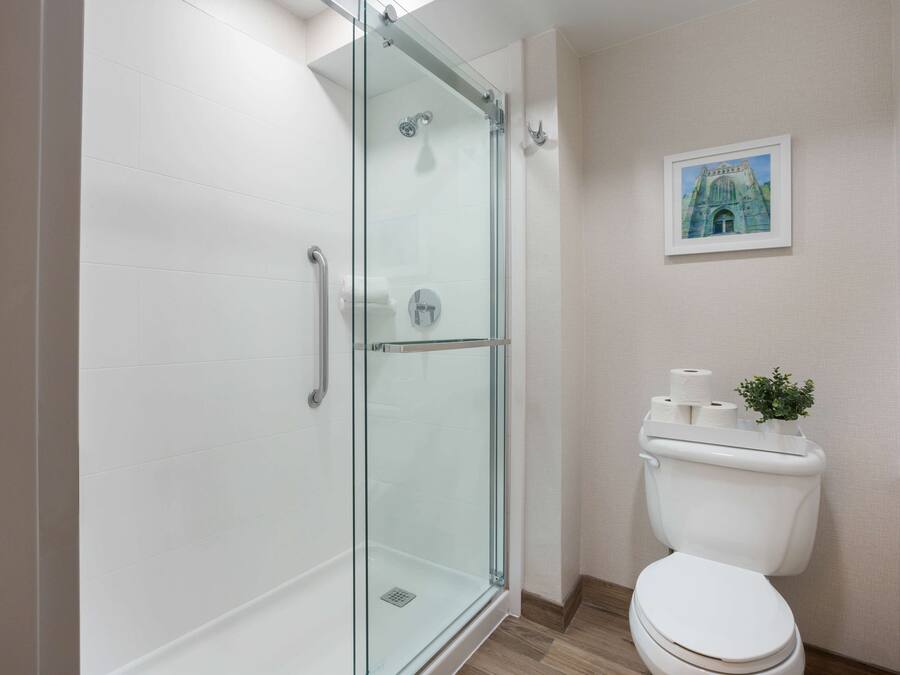 Ein modernes Badezimmer mit einer Duschkabine, einer weißen Toilette und einem gerahmten Bild an der Wand.
