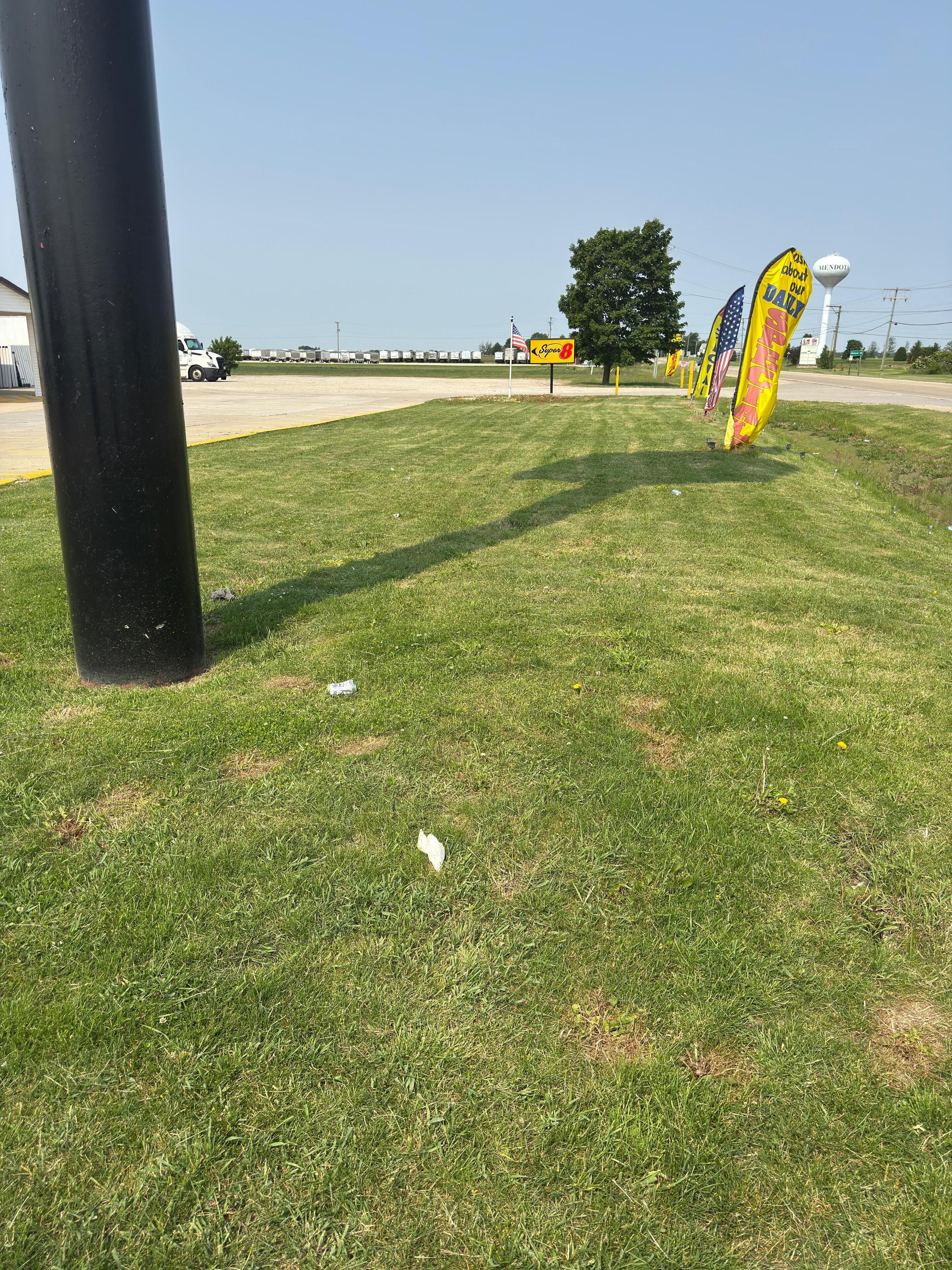 A grassy area with a black pole, a tree, and several yellow flags with text.