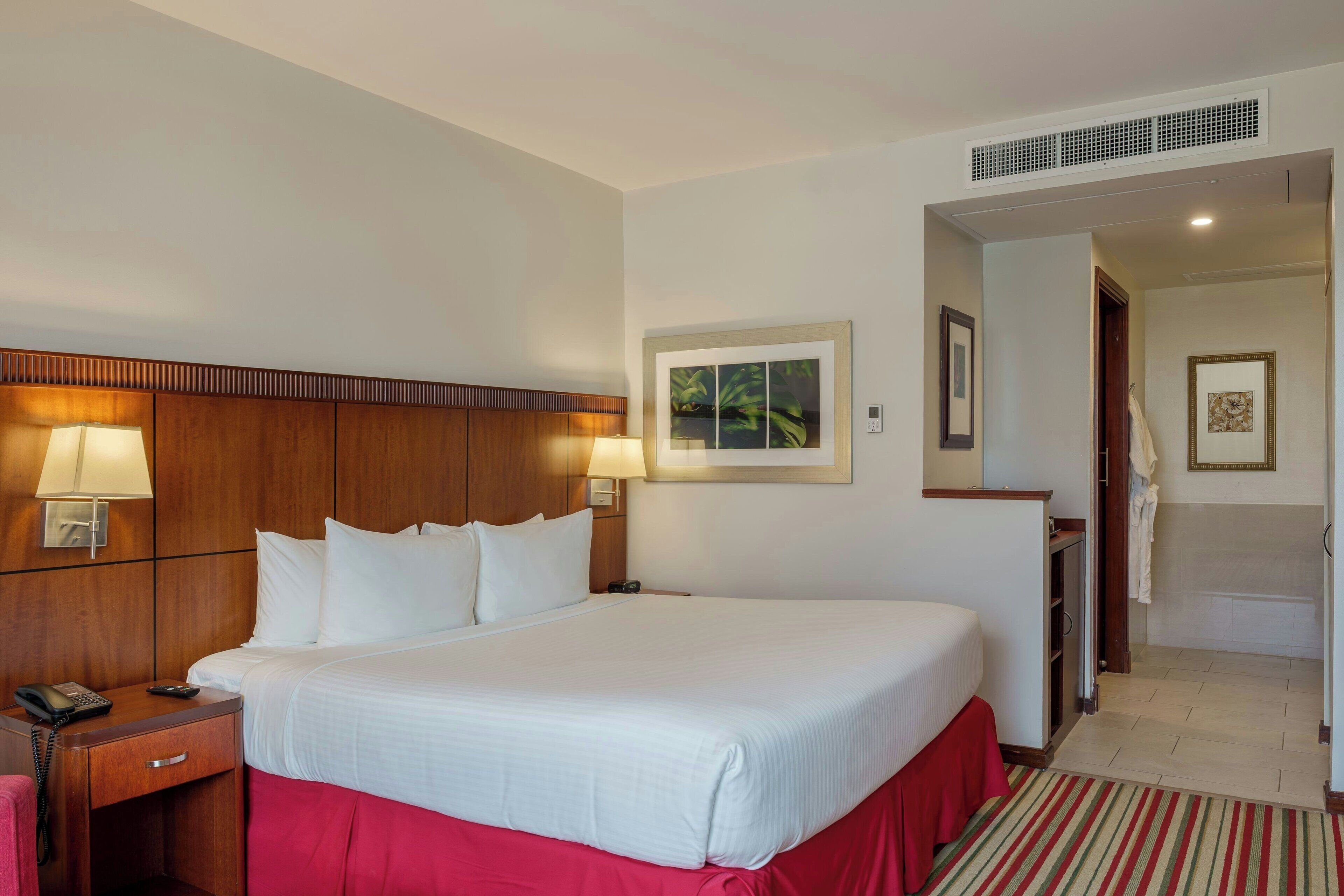 Habitació estàndard, 1 llit de matrimoni gran, vistes a la ciutat | Roba de llit d'alta qualitat, cobrellits i minibar 