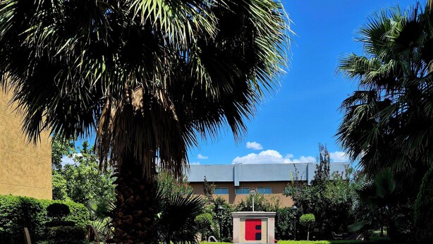 A pathway flanked by neatly trimmed hedges and palm trees, leading to a building with a modern design and a red and blue sign. - Fiesta Inn Nogales (Nogales)