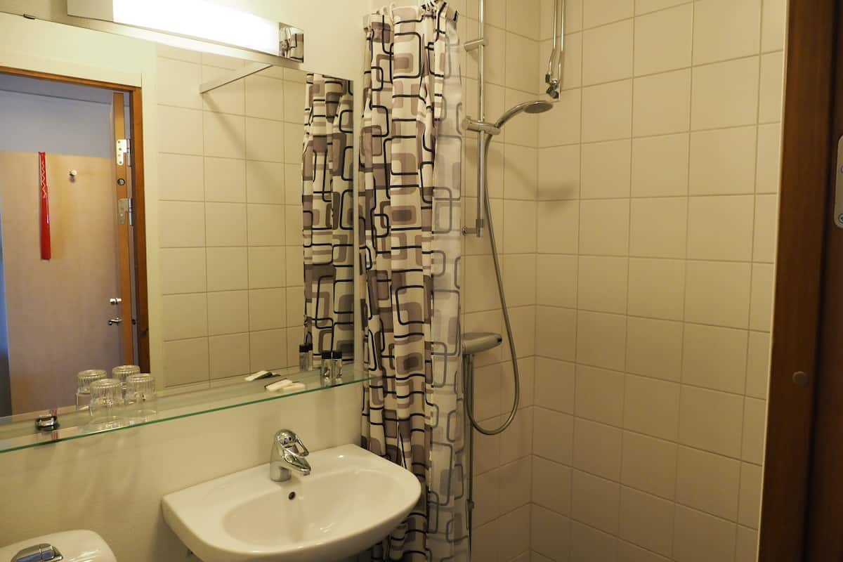 shower, free toiletries, hair dryer, towels