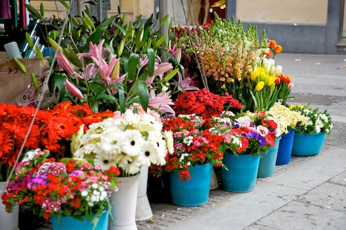 Mercure Hotel Palermo Centro