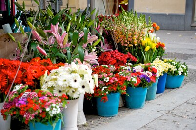 Mercure Hotel Palermo Centro
