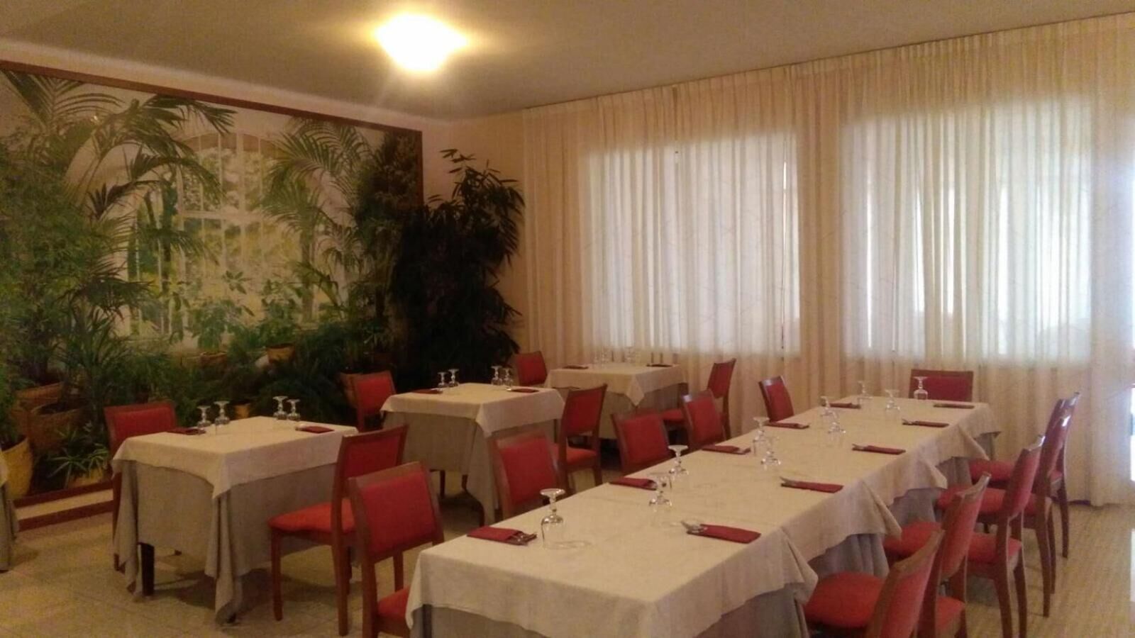 Ein Essbereich mit mehreren Tischen, roten Stühlen und einer großen Kübelpflanze.