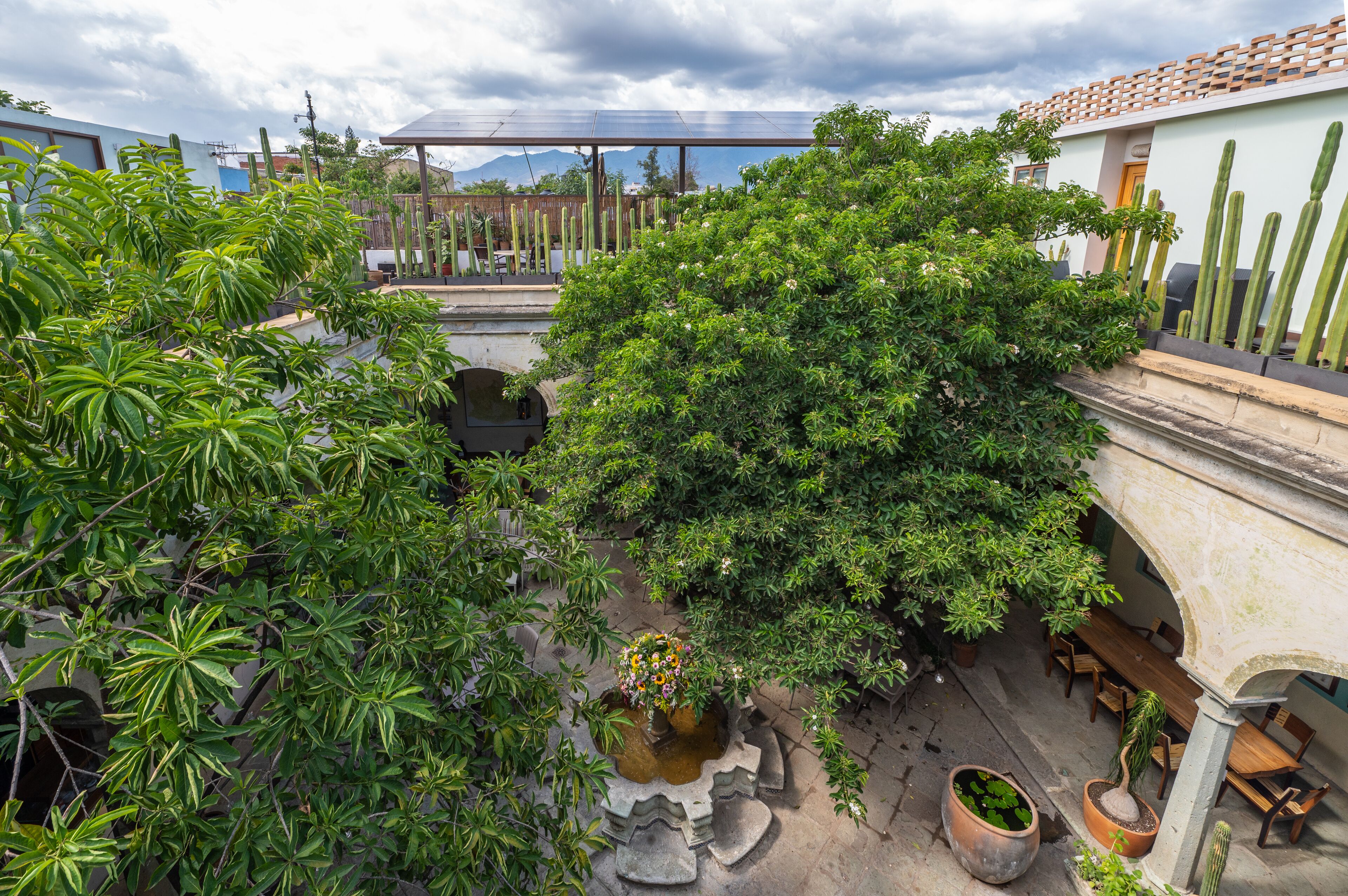 A courtyard with potted plants, a wooden bench, and a stone fountain.