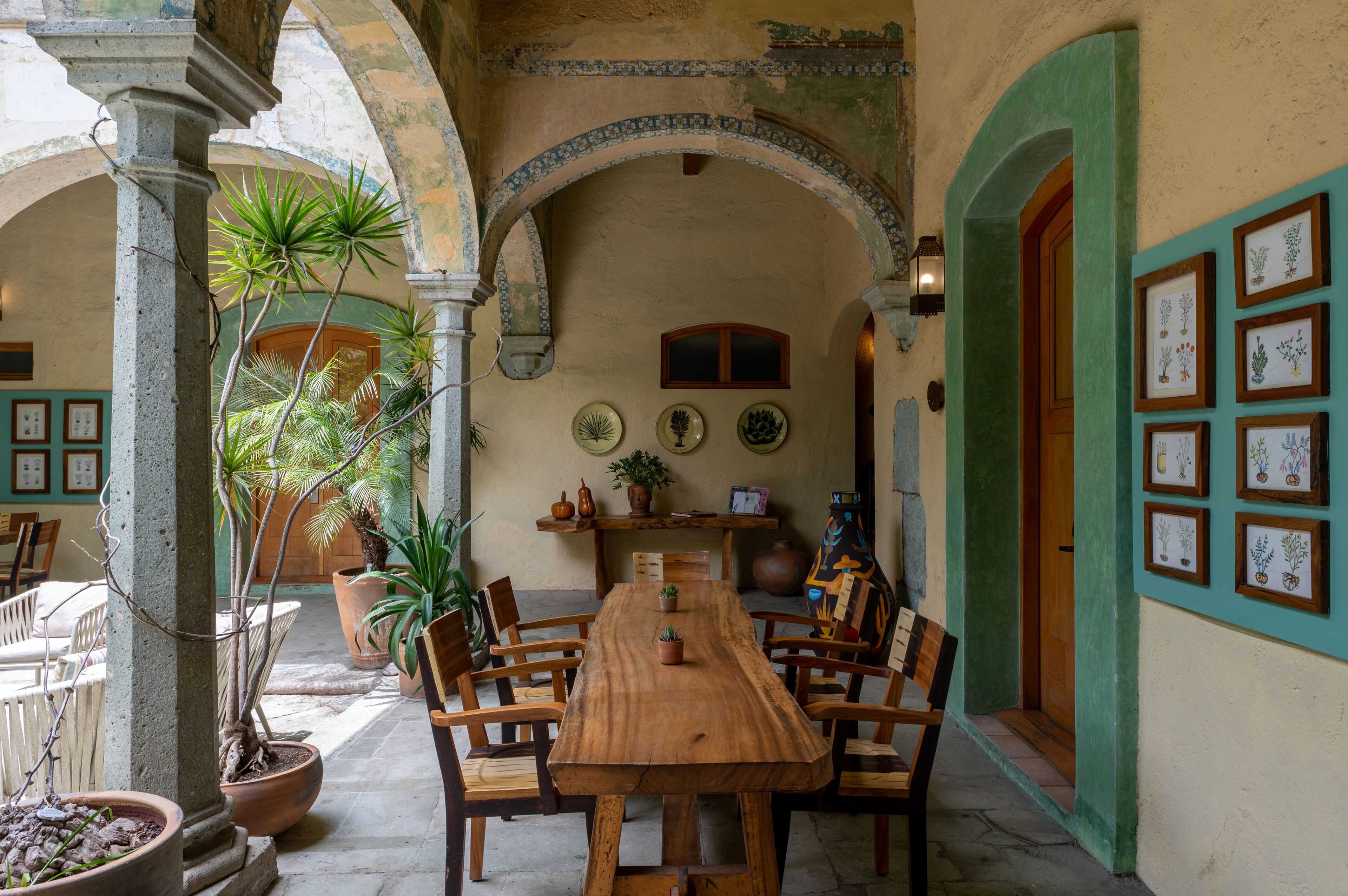 A wooden dining table with chairs, surrounded by potted plants and framed botanical prints on the walls.