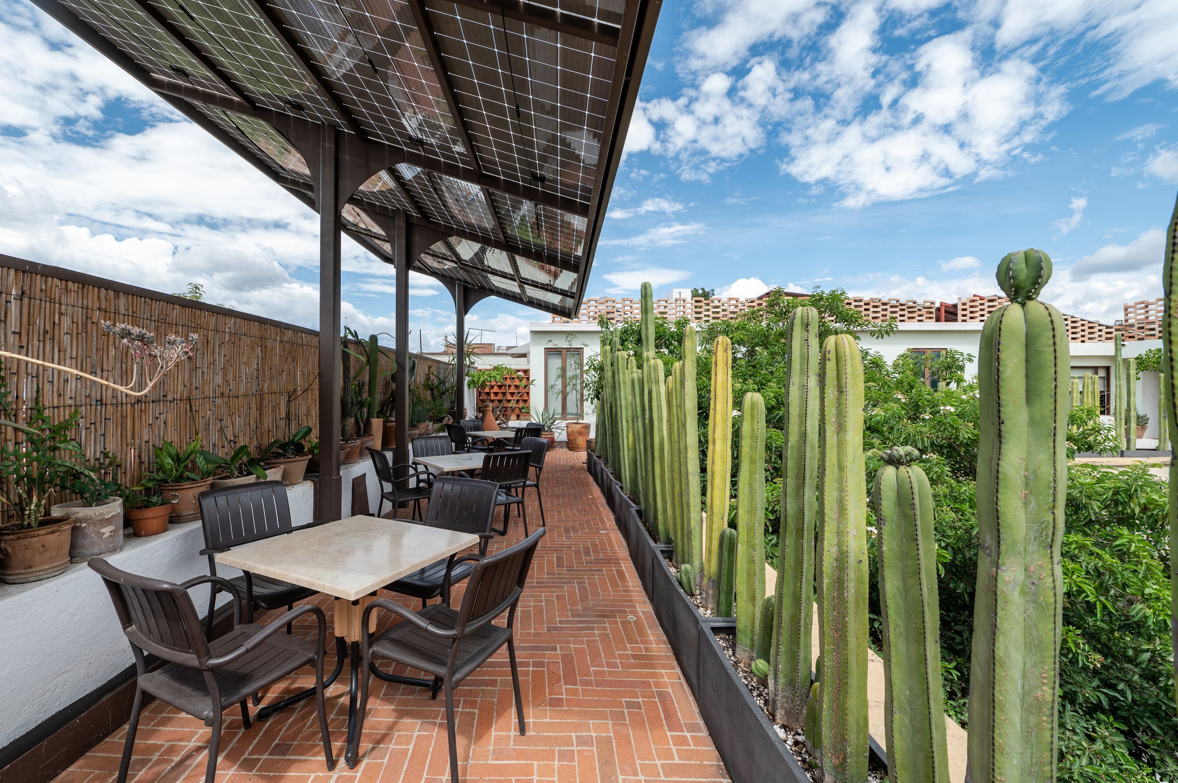 Une terrasse extérieure avec un sol en briques, des tables, des chaises et une rangée de cactus.