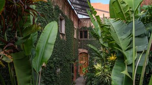 A narrow pathway leading to a wooden door surrounded by lush greenery and a brick wall. - Casa De Sierra Azul (Oaxaca)